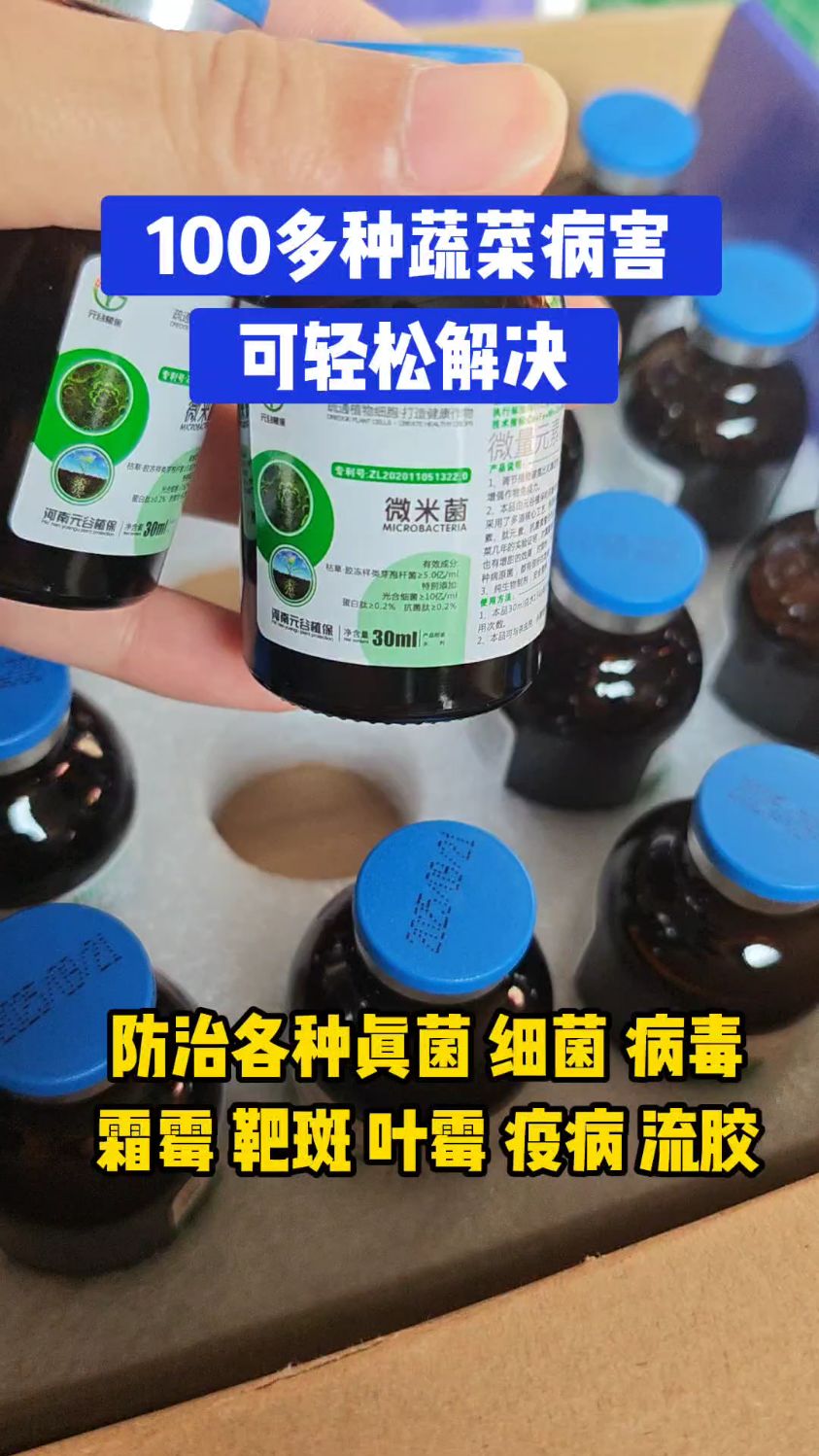 100多种蔬菜病害,轻松解决