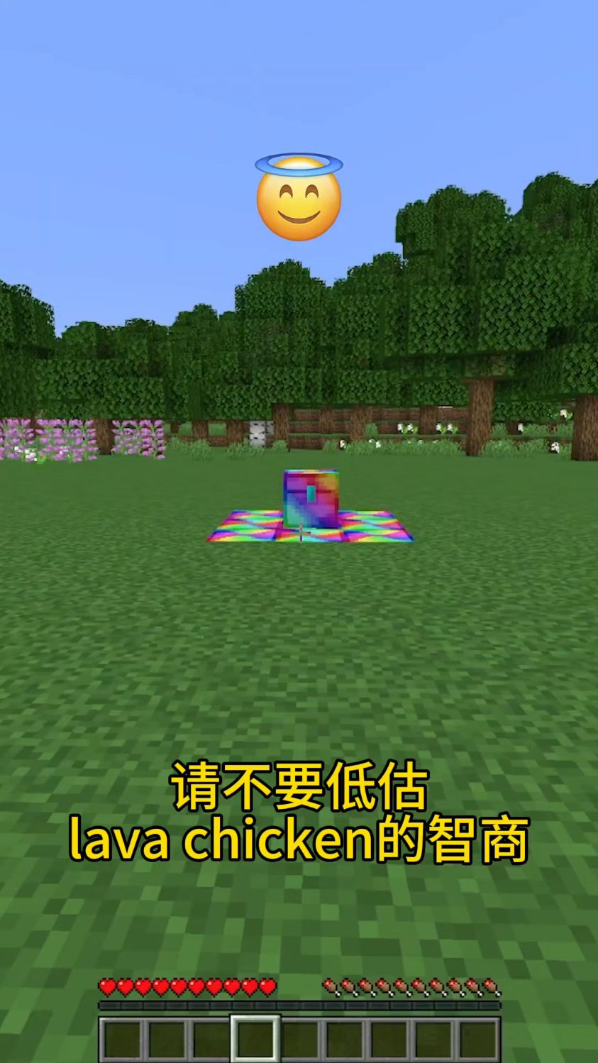 不要低估岩浆鸡的智商IQ