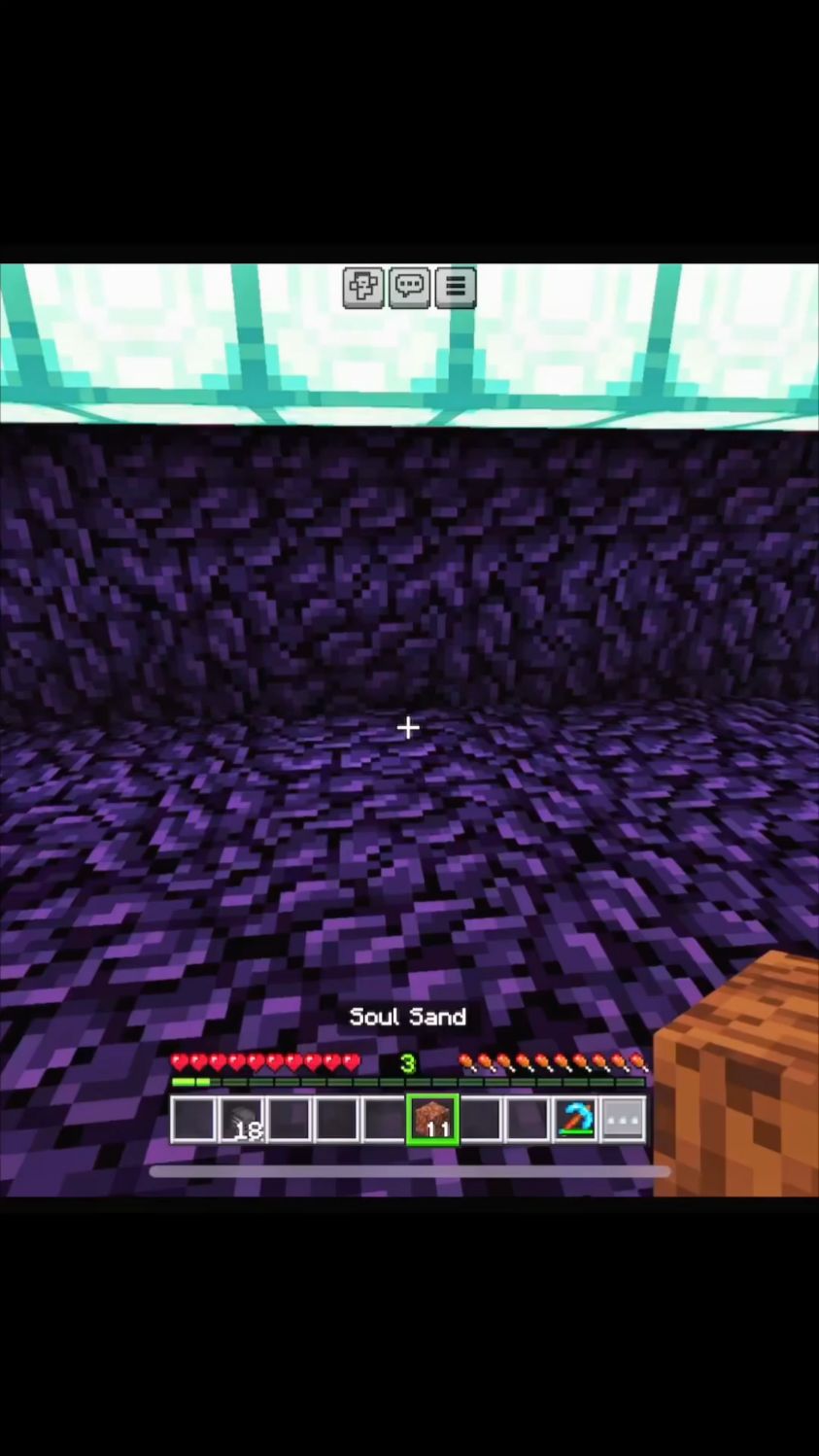 我的世界Minecraft跳舞的鱼和凋零