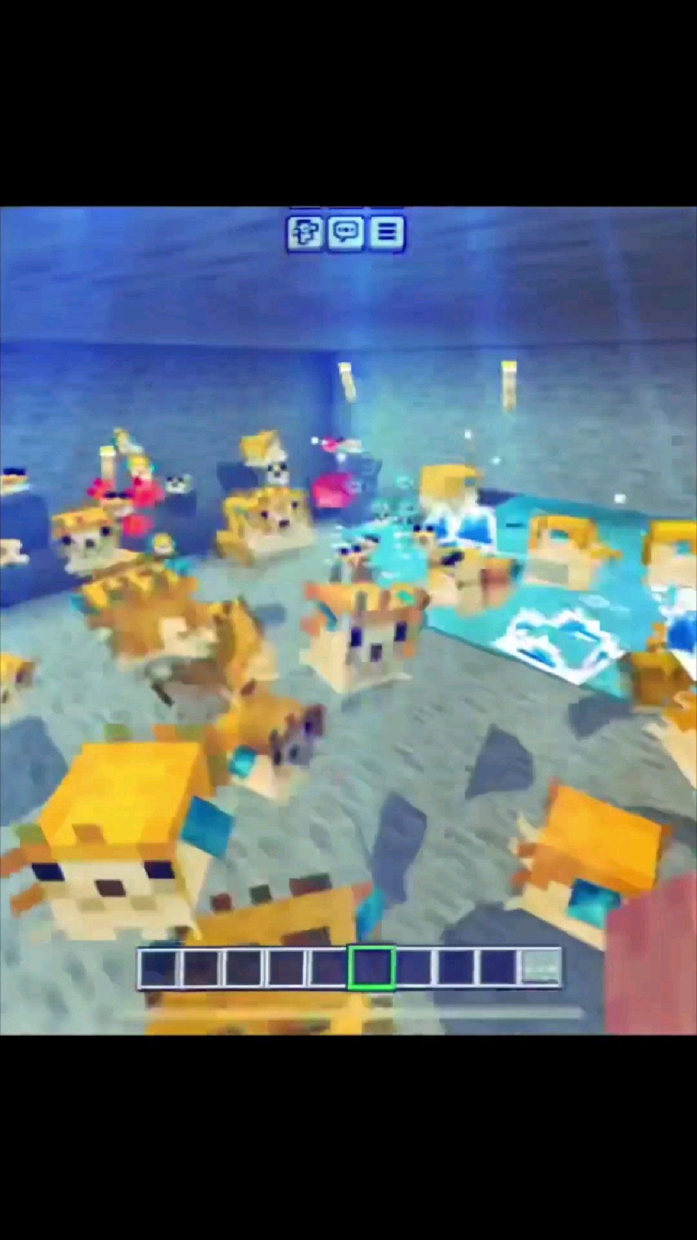 我的世界minecraft跳舞的鱼