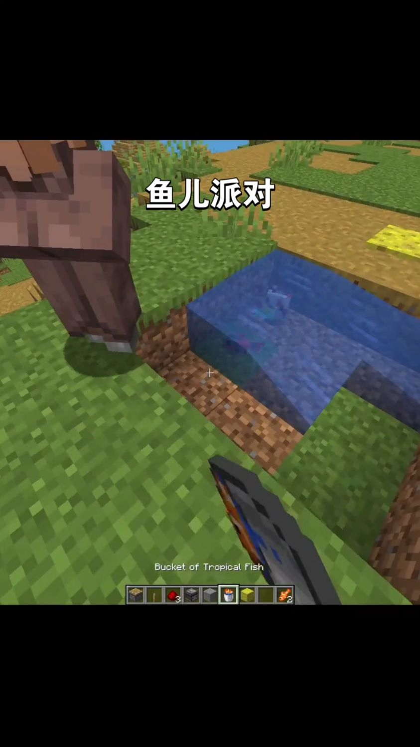 Minecraft鱼儿派对