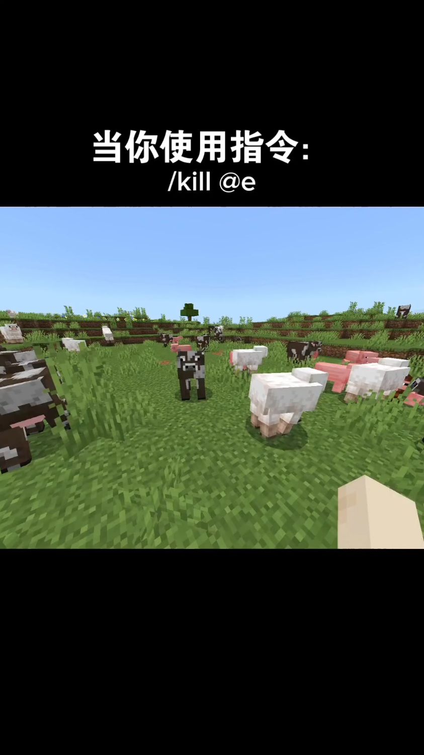 Minecraft当你使用指令
