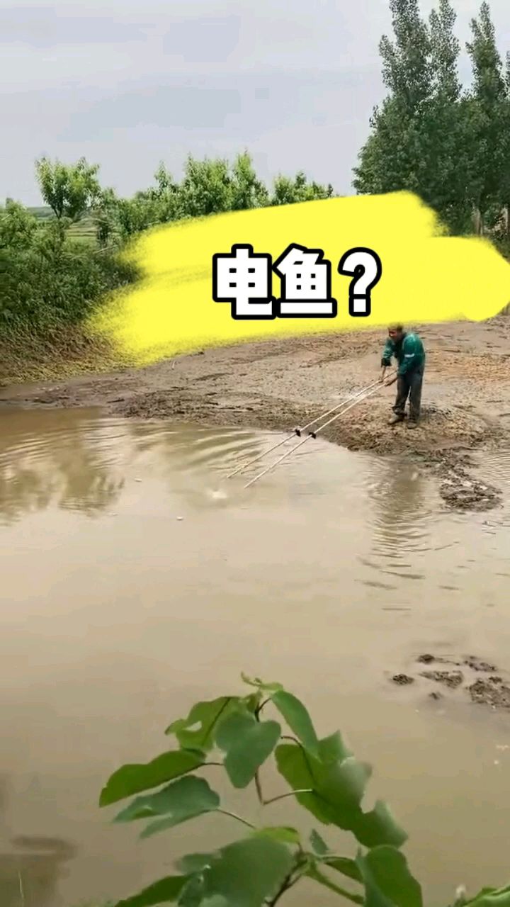 我以为他用的是新能源，钓鱼是违法的，万万没想到，人家用的渔网