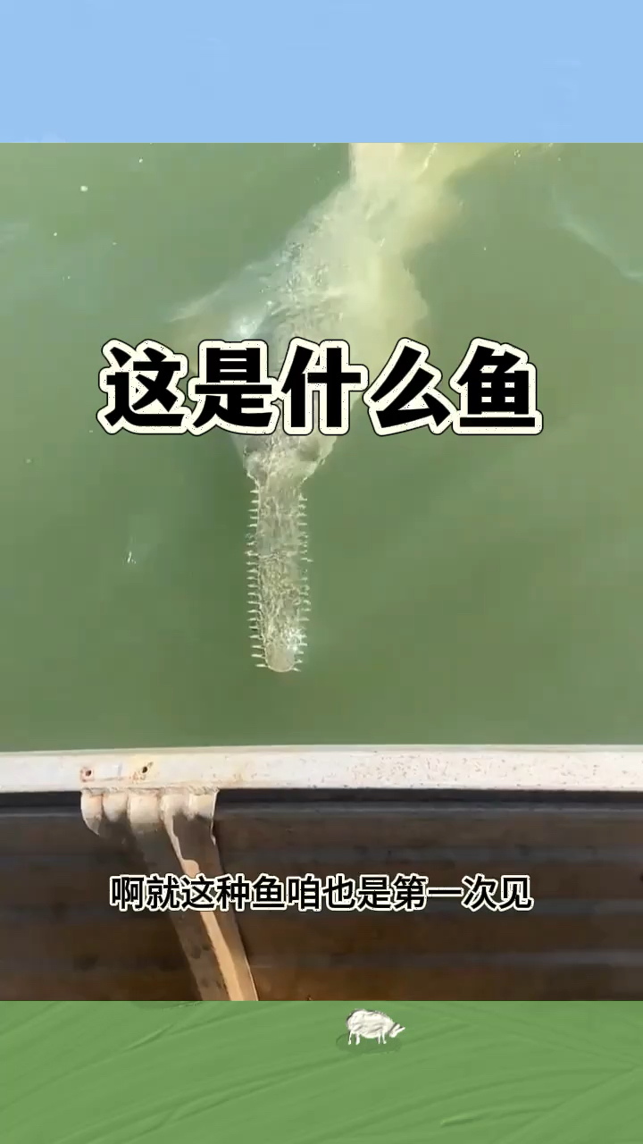 这是什么鱼,嘴里长满了刺