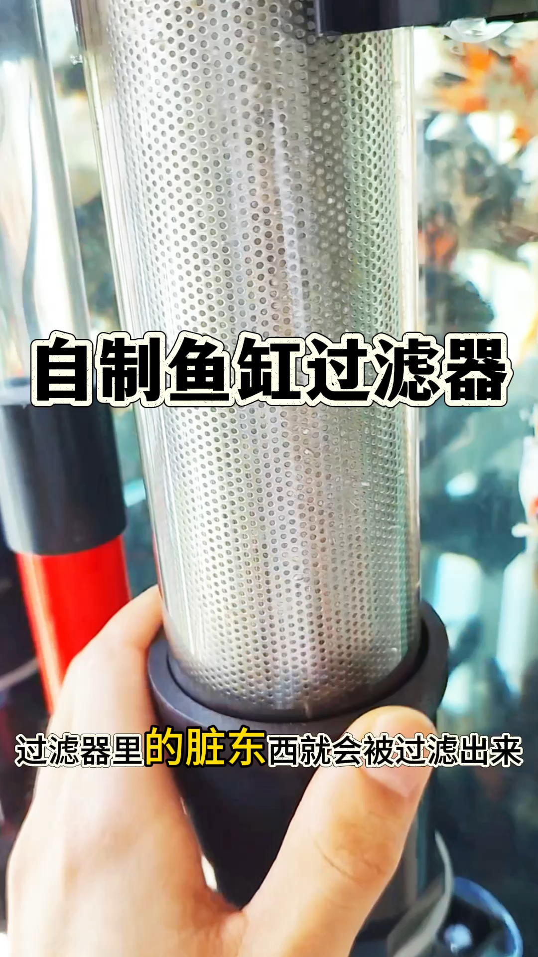自制鱼缸过滤器，水特别清澈