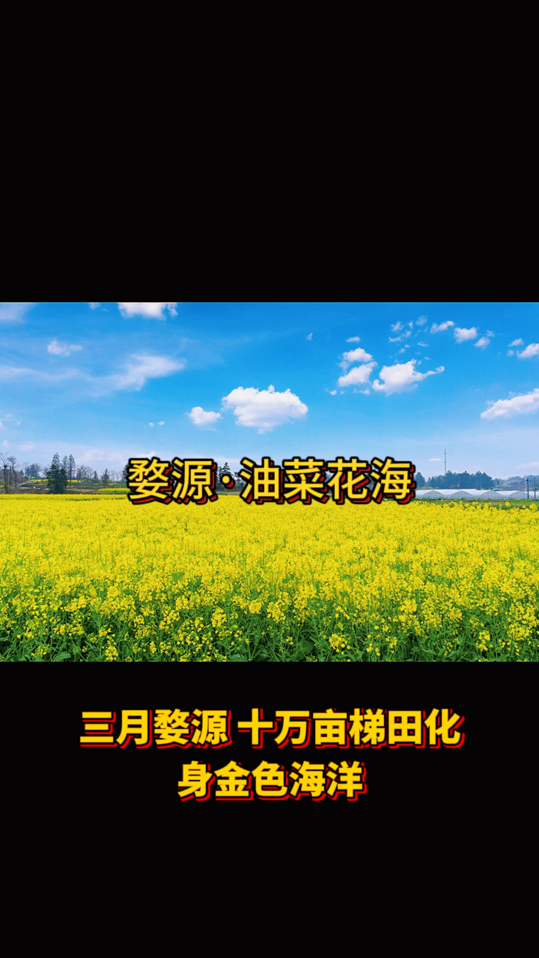 婺源油菜花海景区