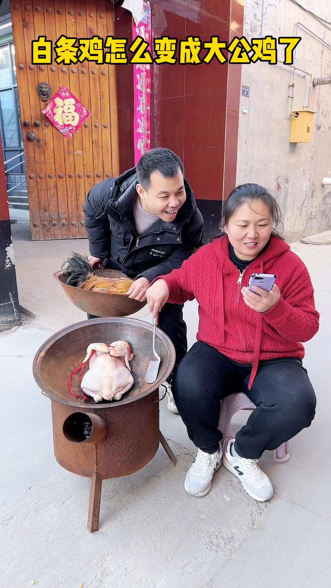 白条鸡怎么变成大公鸡了