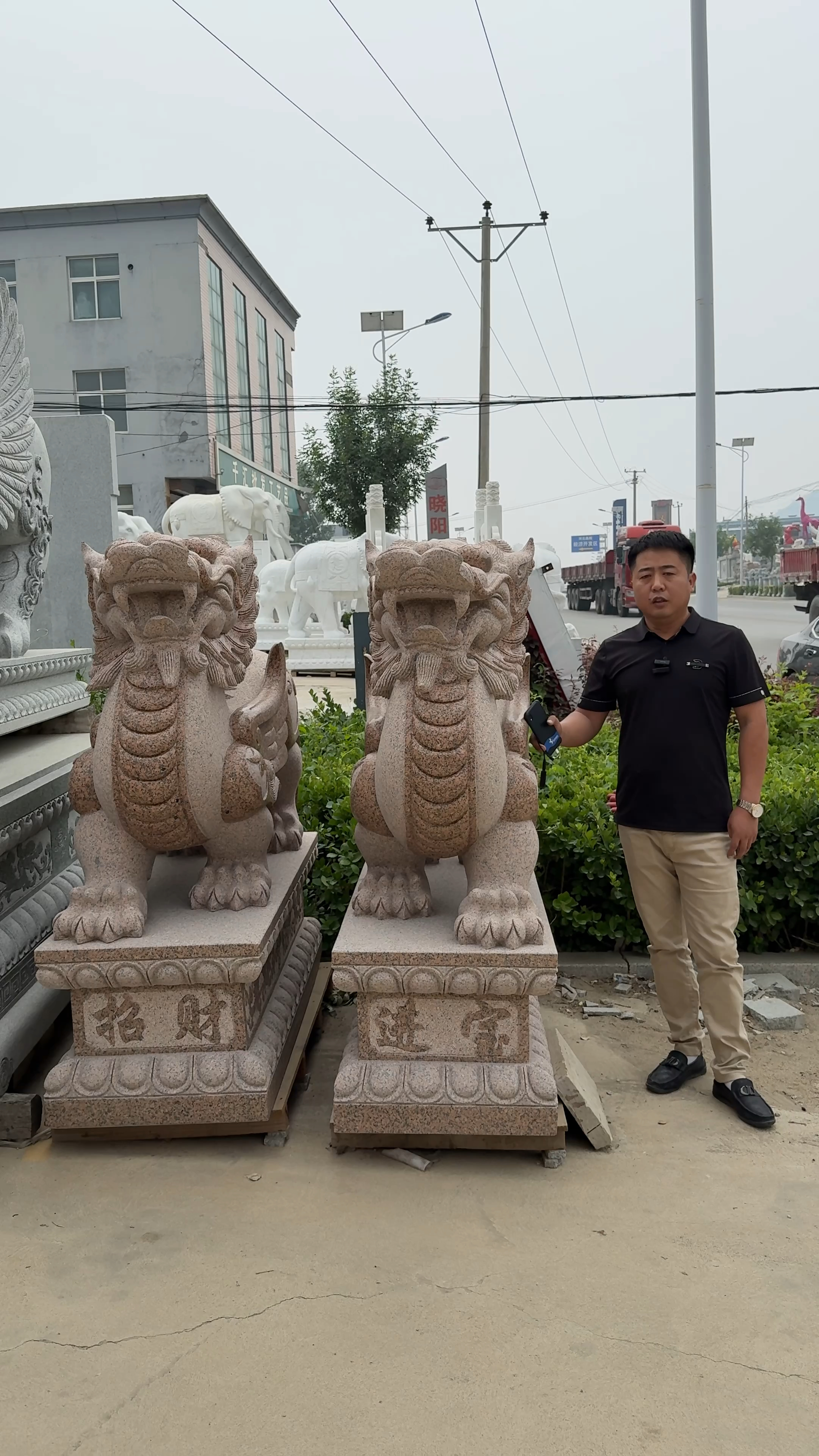 石雕貔貅一对石头门口摆件花岗岩虾红石材