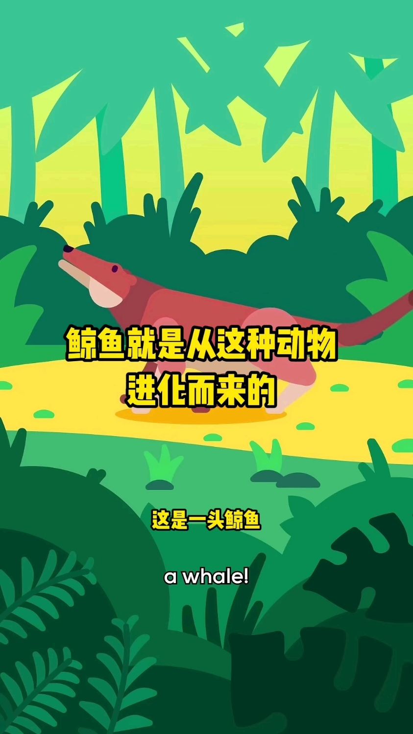 鲸鱼就是从这种动物进化而来的