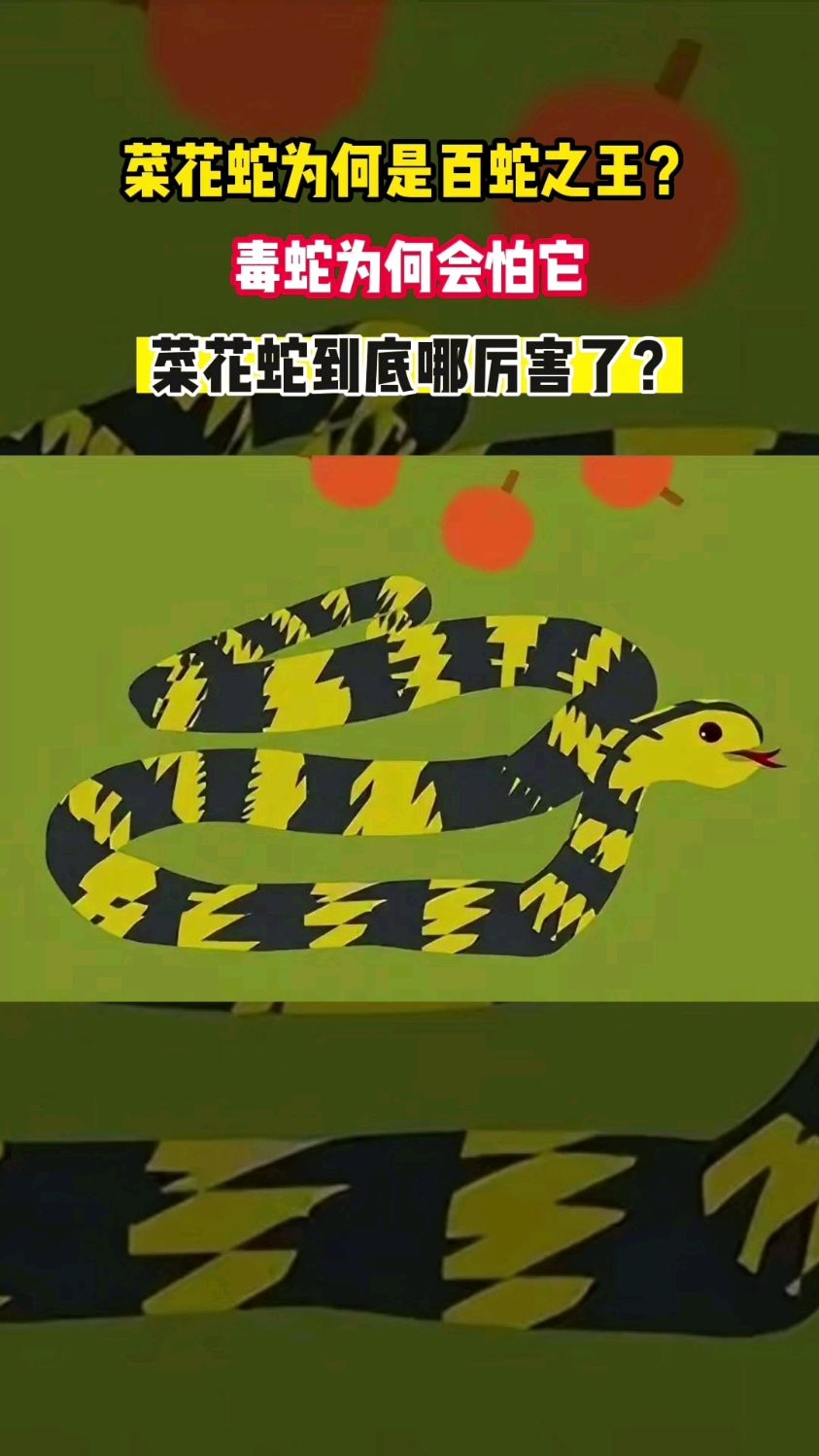 菜花蛇为何是百蛇之王?毒蛇为何会怕它,菜花蛇到底哪厉害了?