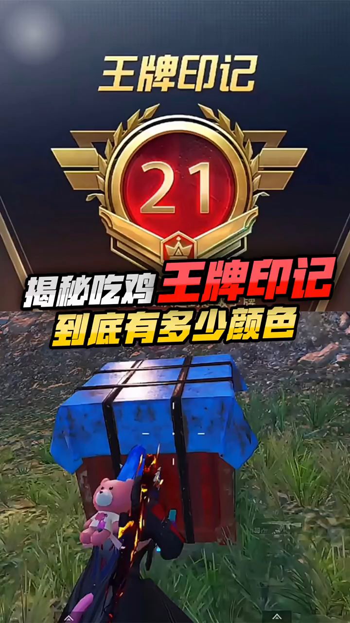 揭秘:吃鸡王牌印记有多少个颜色,你知道吗?