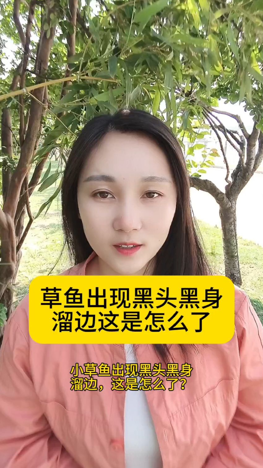 草鱼出现黑头黑身溜边这是怎么了