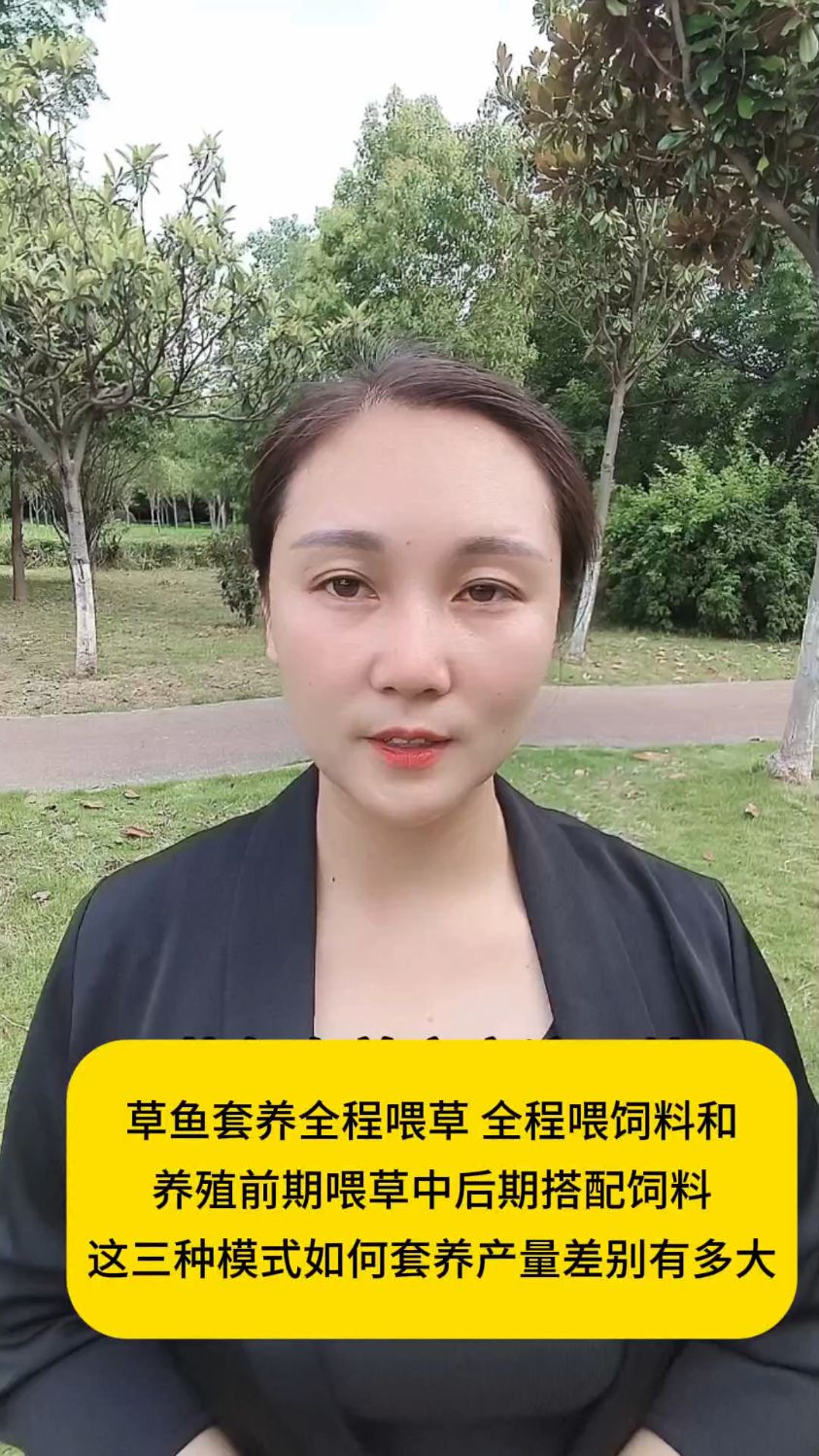 草鱼套养全程喂草 全程喂饲料和 养殖前期喂草中后期搭配饲料