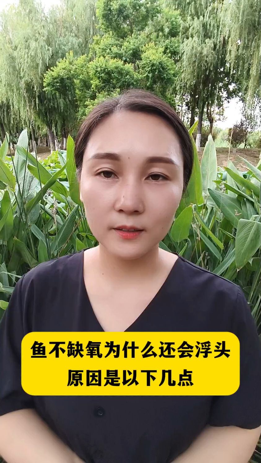 鱼不缺氧为什么还会浮头原因是以下几点