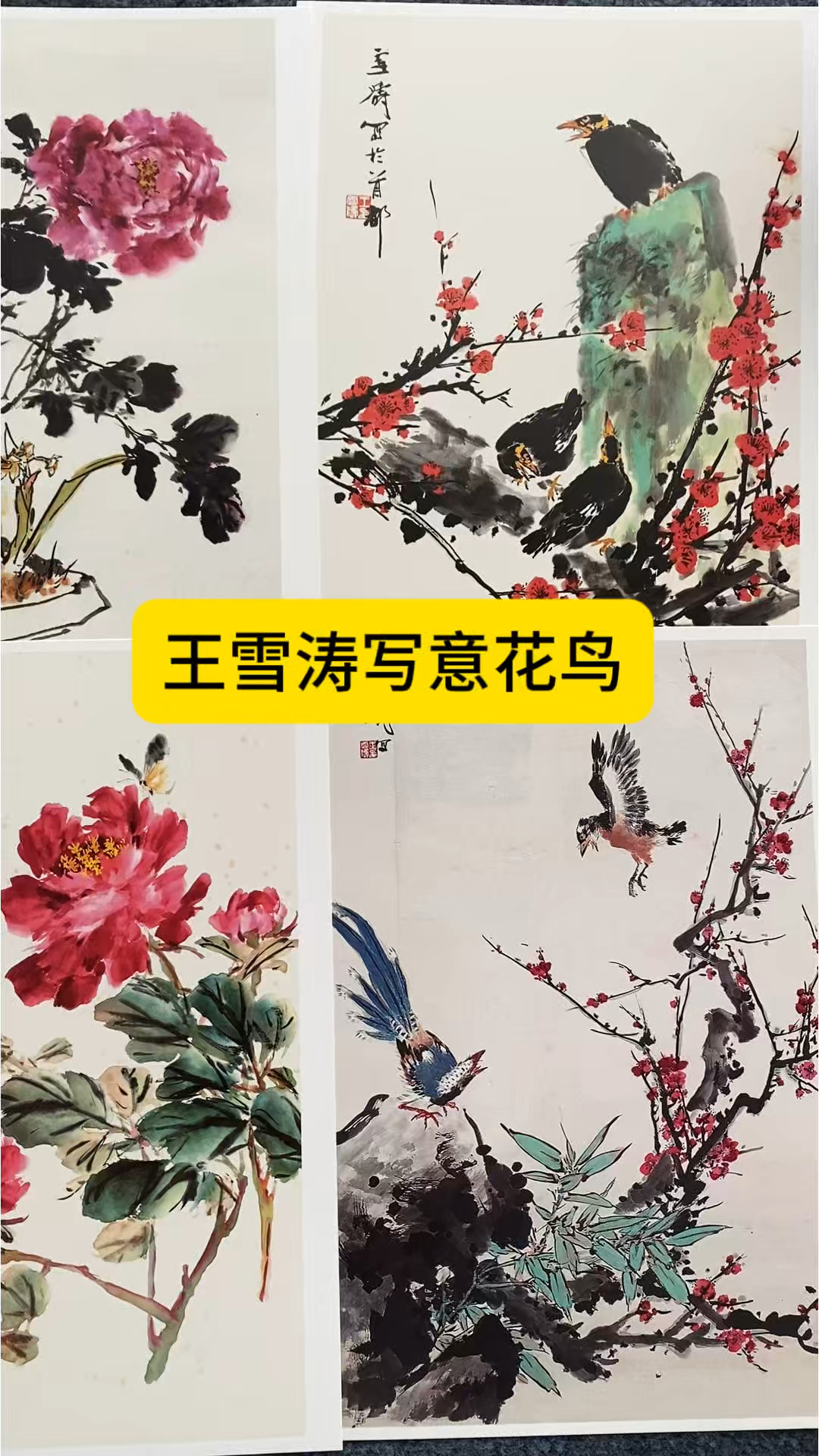 王雪涛写意花鸟临摹卡|国画入门必临经典