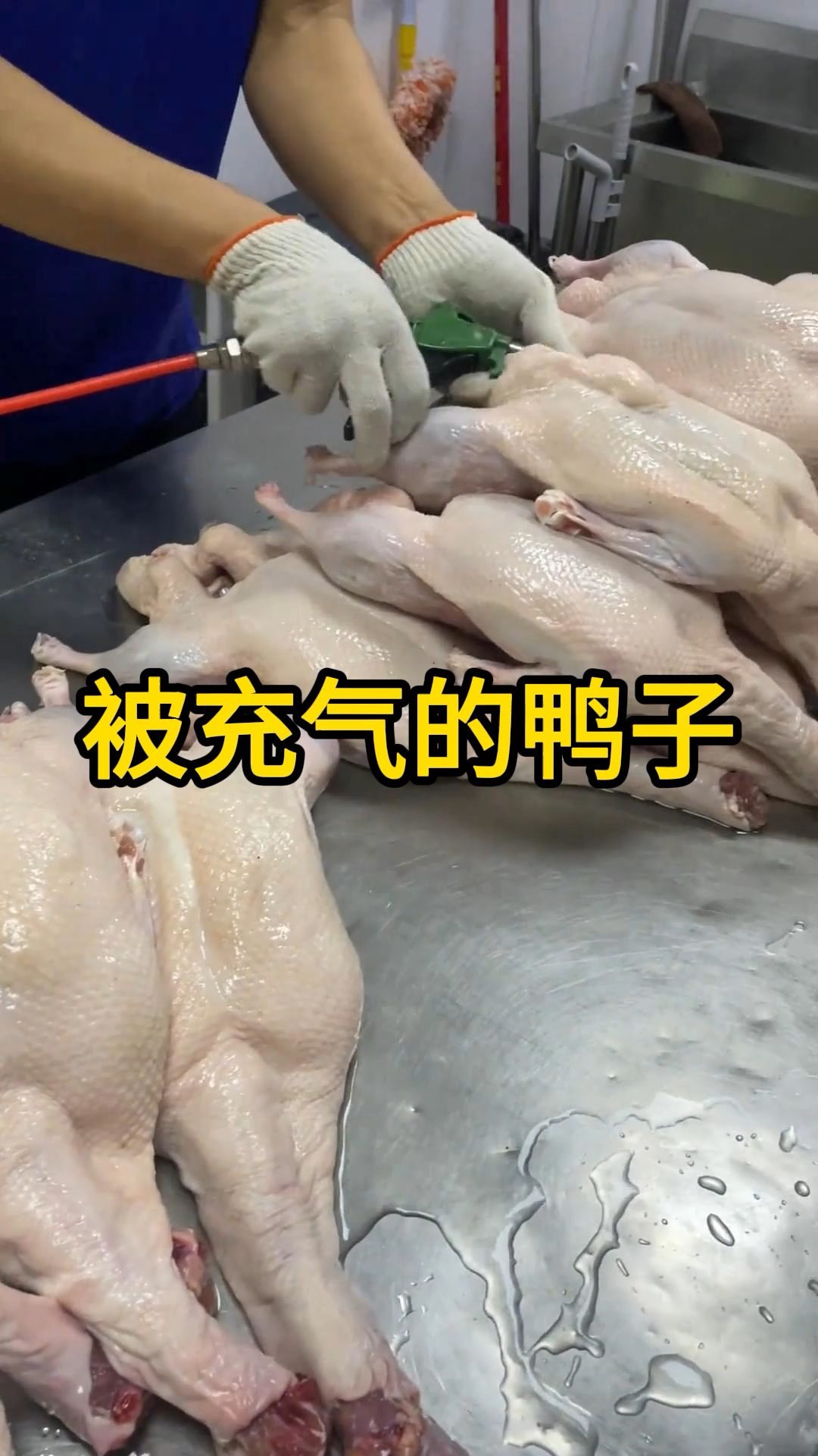 被充气的鸭子，变得更加美味