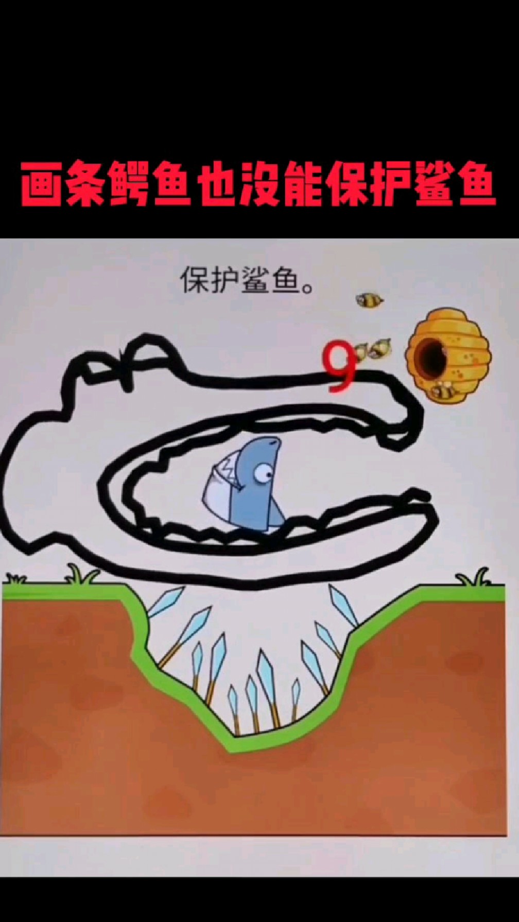 画条鳄鱼也没能保护鲨鱼