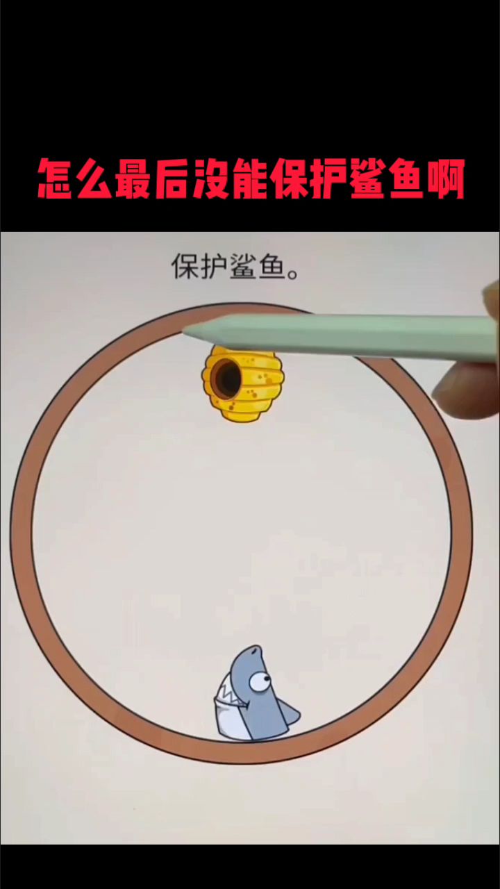 怎么最后没能保护鲨鱼啊