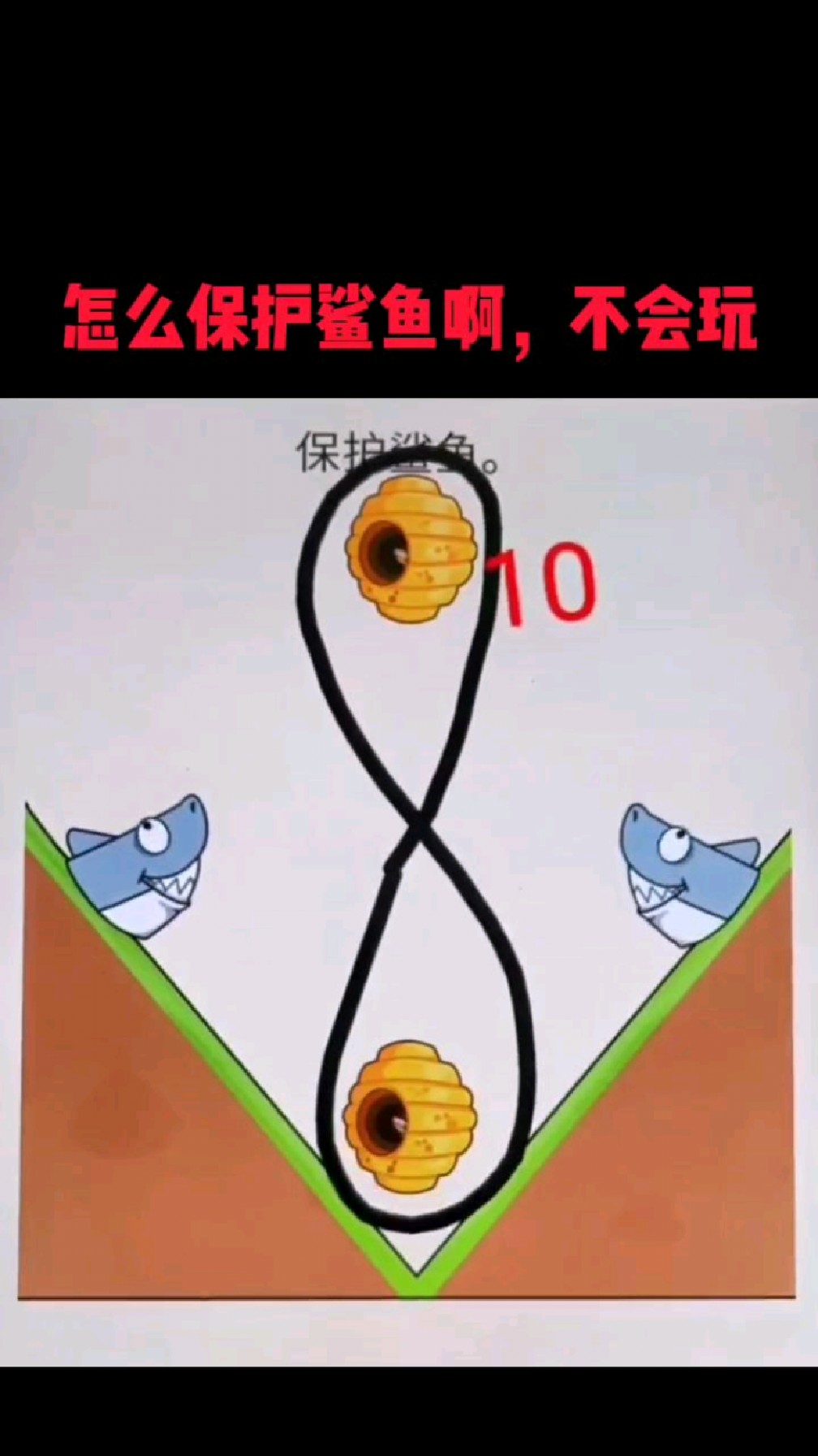 怎么保护鲨鱼啊,不会玩