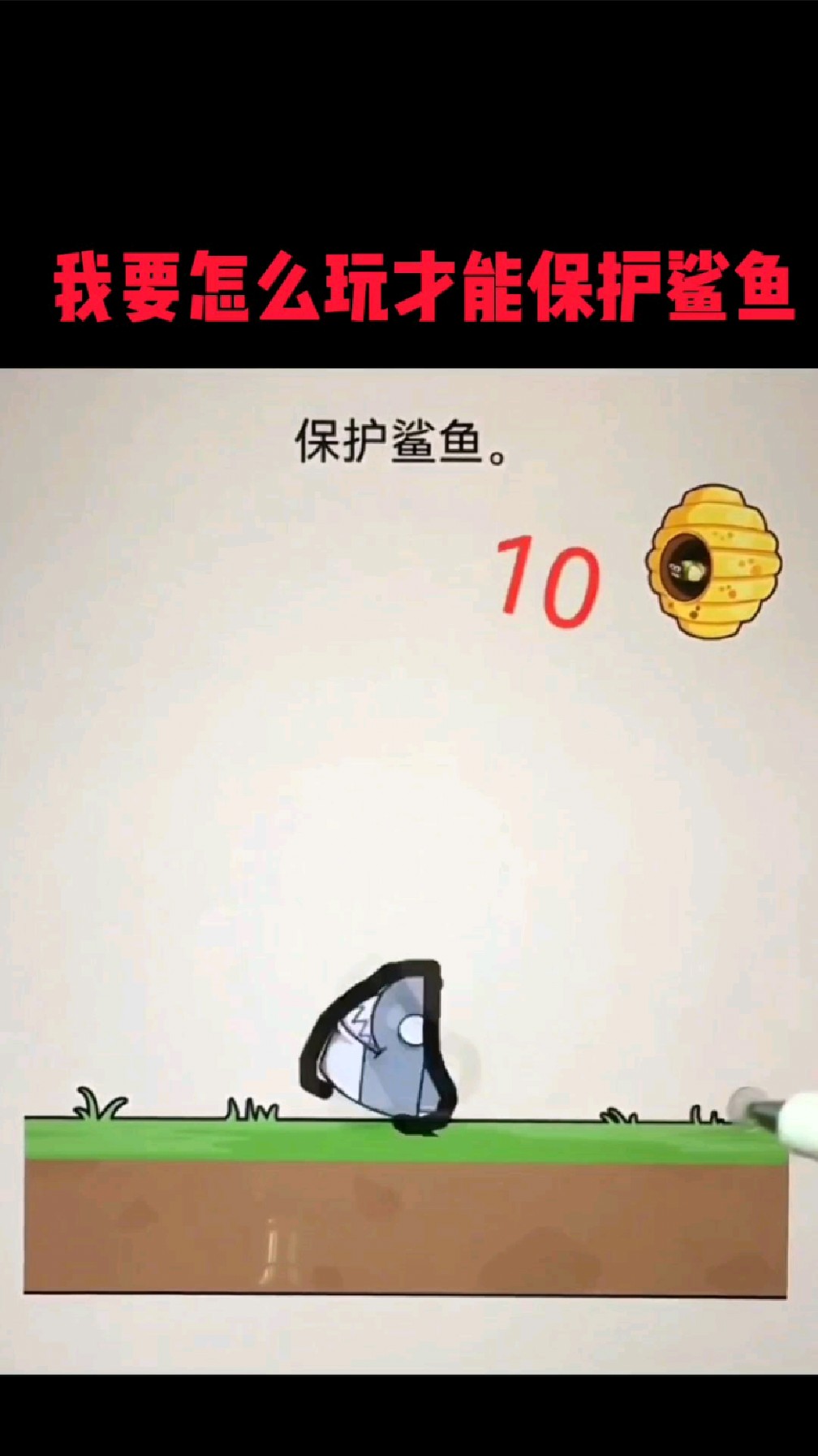 我要怎么玩才能保护鲨鱼?