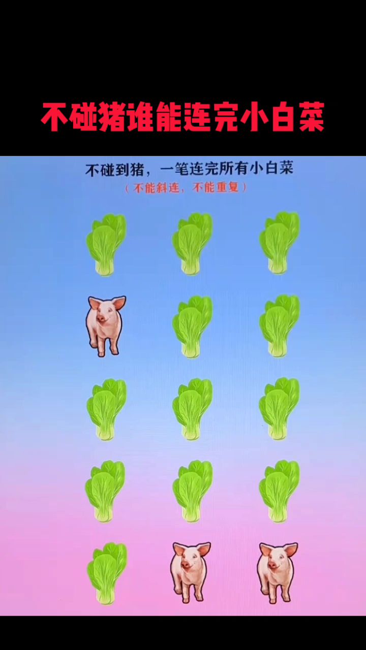 不碰猪谁能连完小白菜