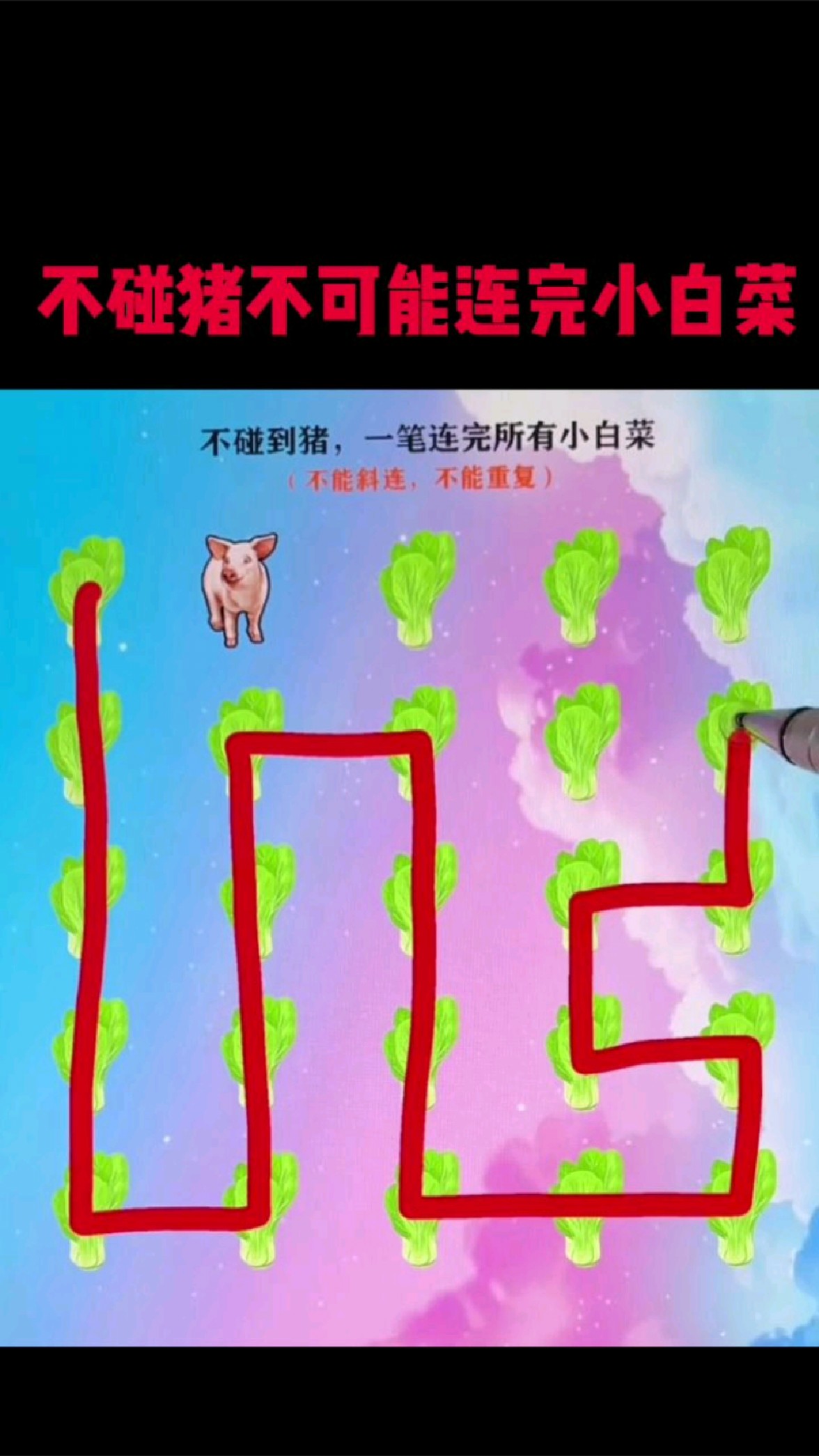 不碰猪不可能连完小白菜