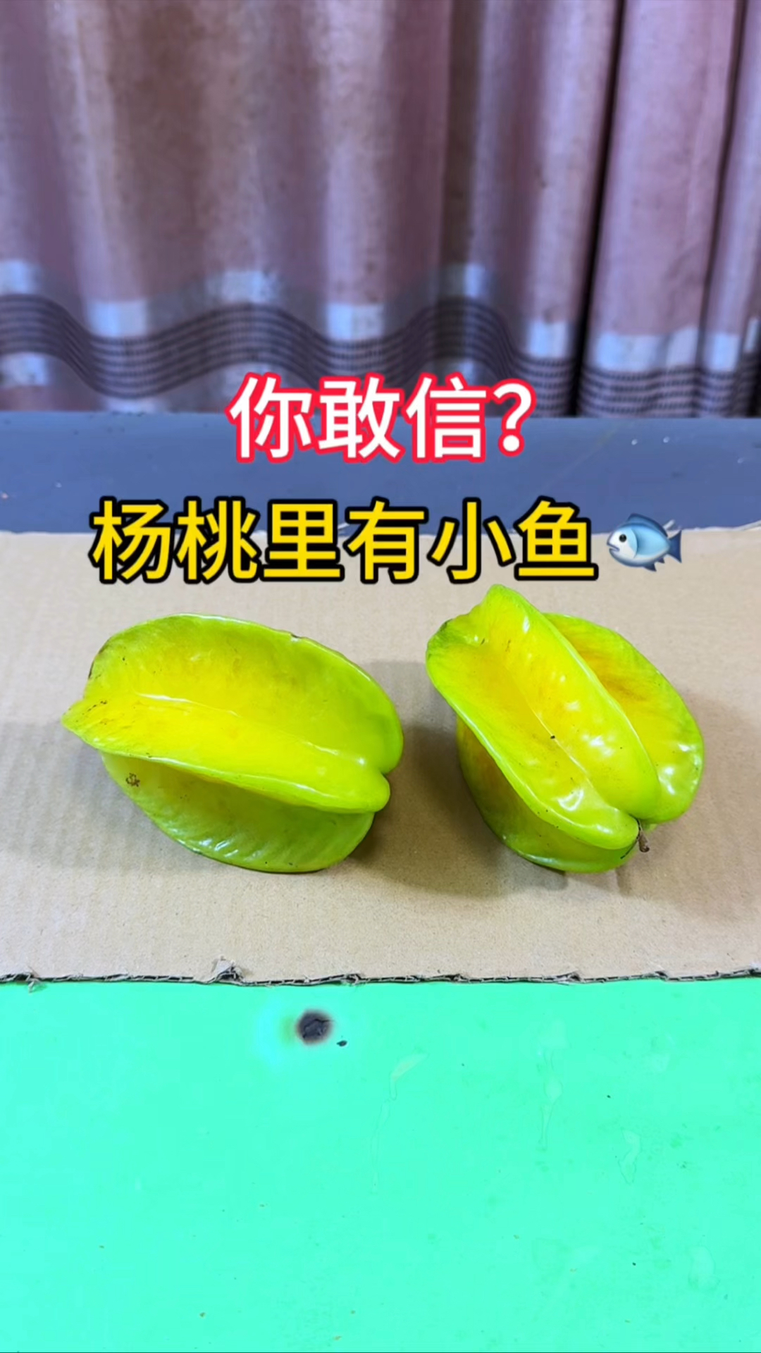 据说:杨桃里有鱼,实测