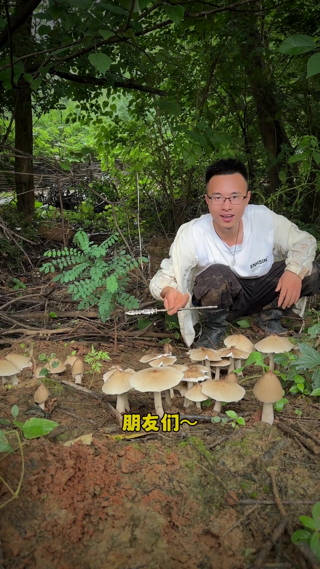 你敢信吃席都有鸡枞菌捡、哈哈而且超级大一窝、又肥又漂亮、爽