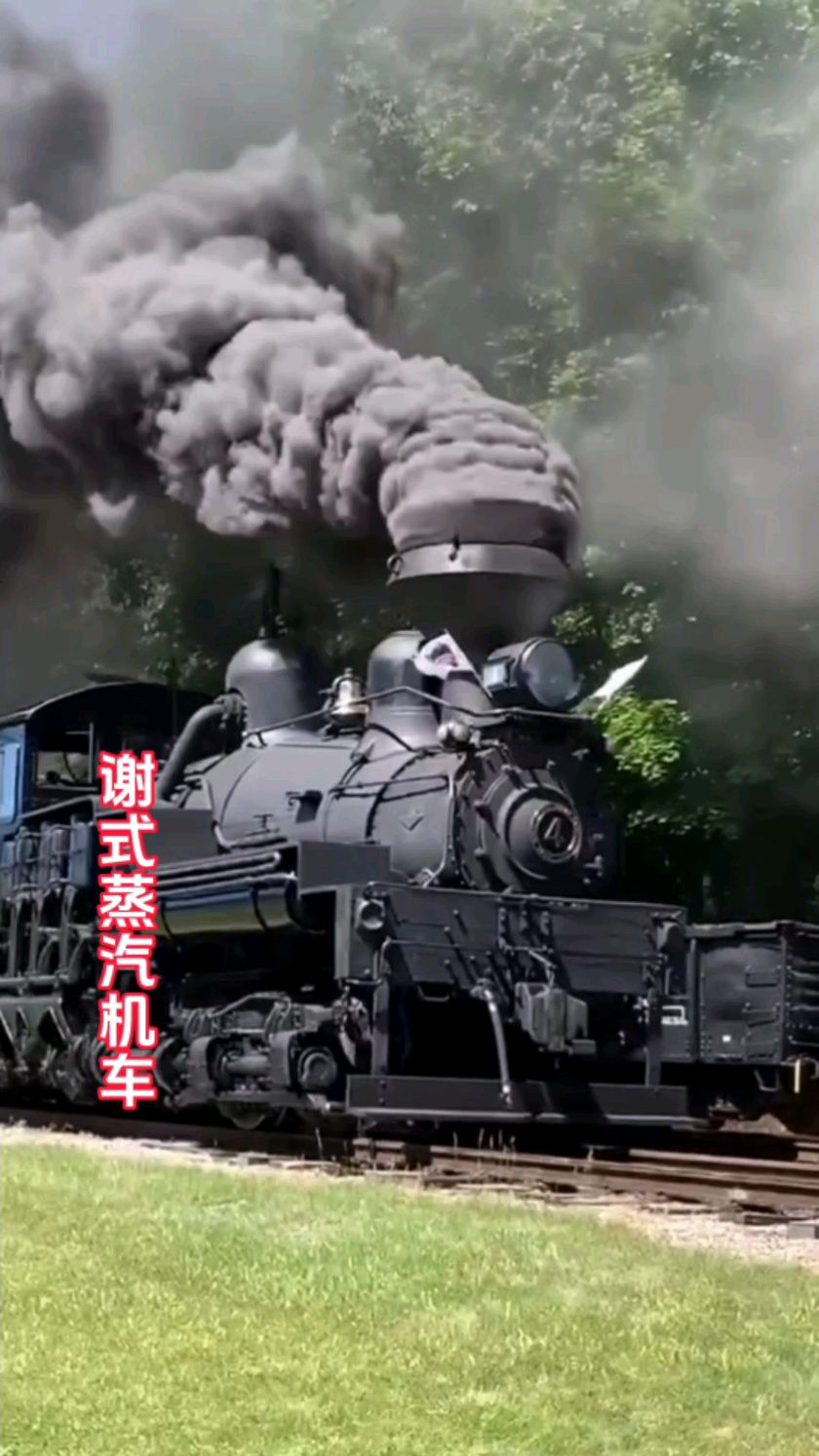 齿轮传动型蒸汽机车