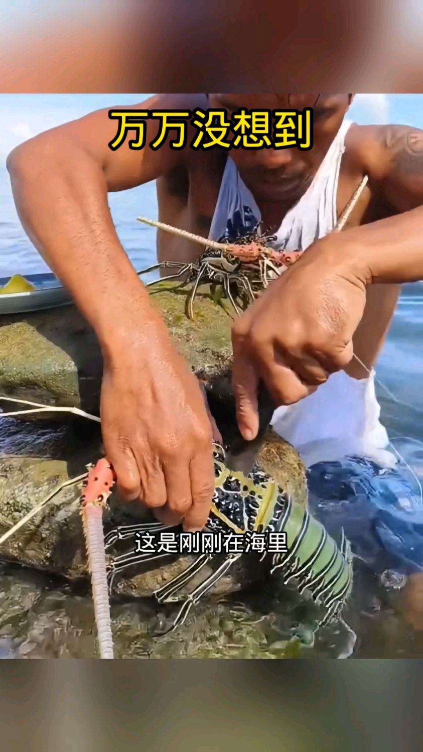 海里捕的龙虾,竟然这样给吃了