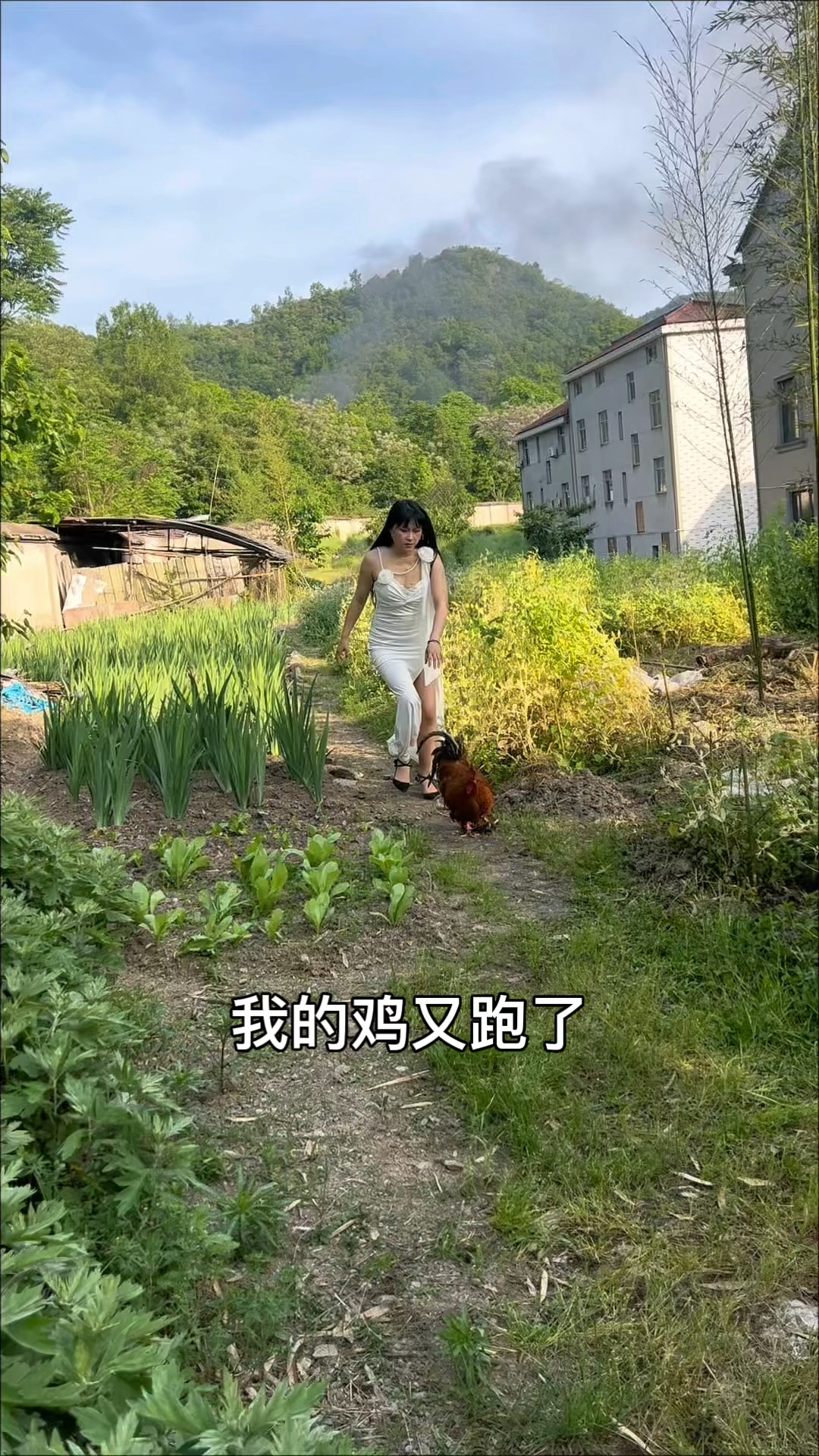 鸡跑了，我只能吃菜了，河南的豆角真多呀！