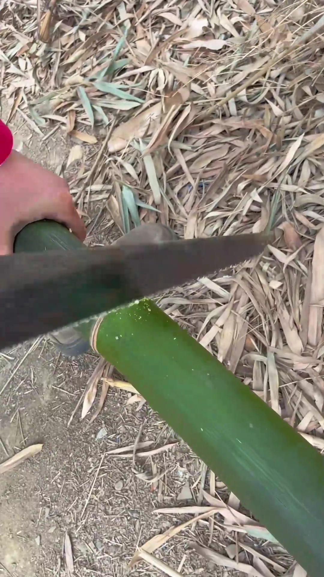 自己动手制作虾滑煮火锅