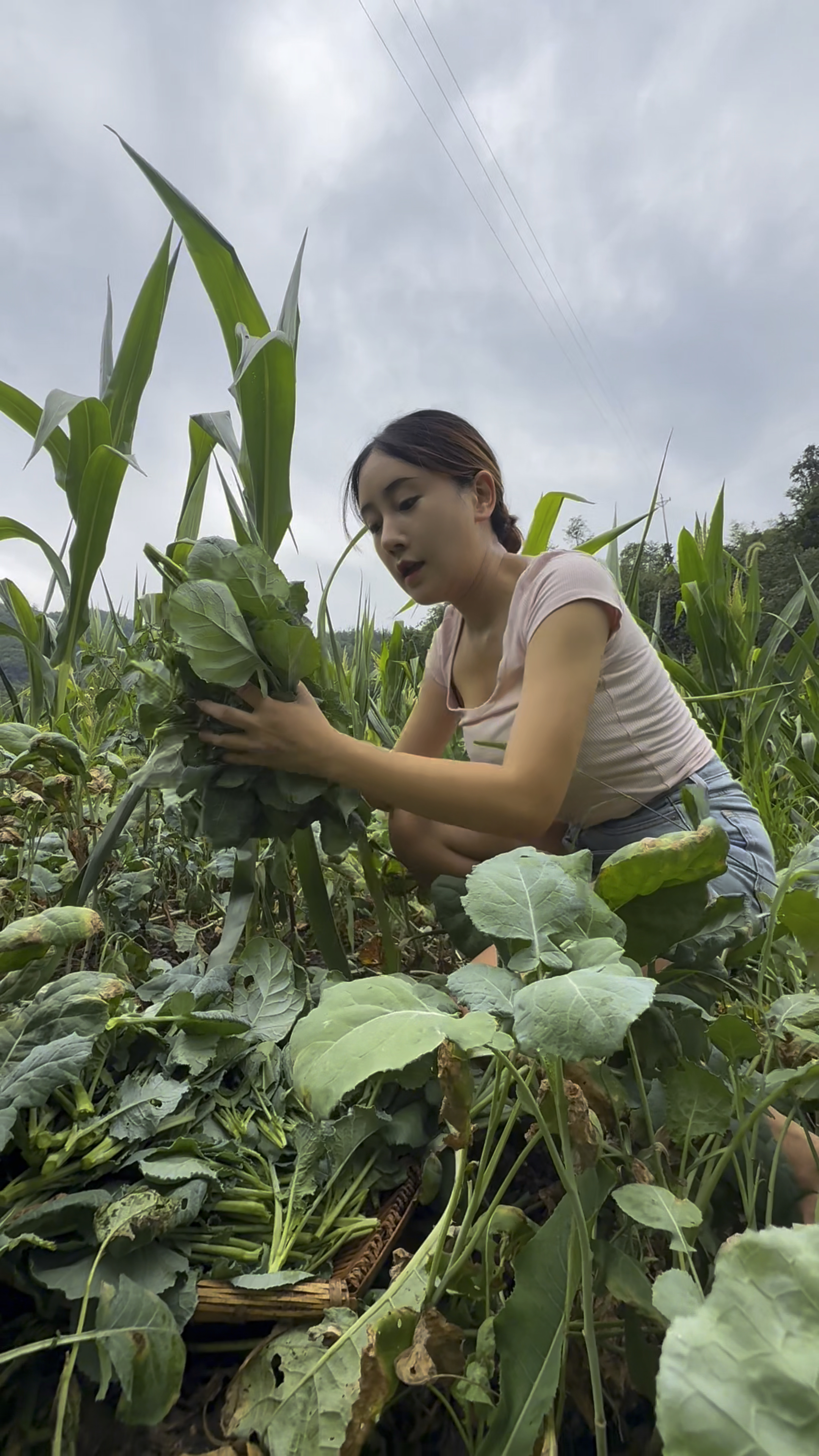 地里不要的野油菜，拿回家先焯水后炒真的好好吃！