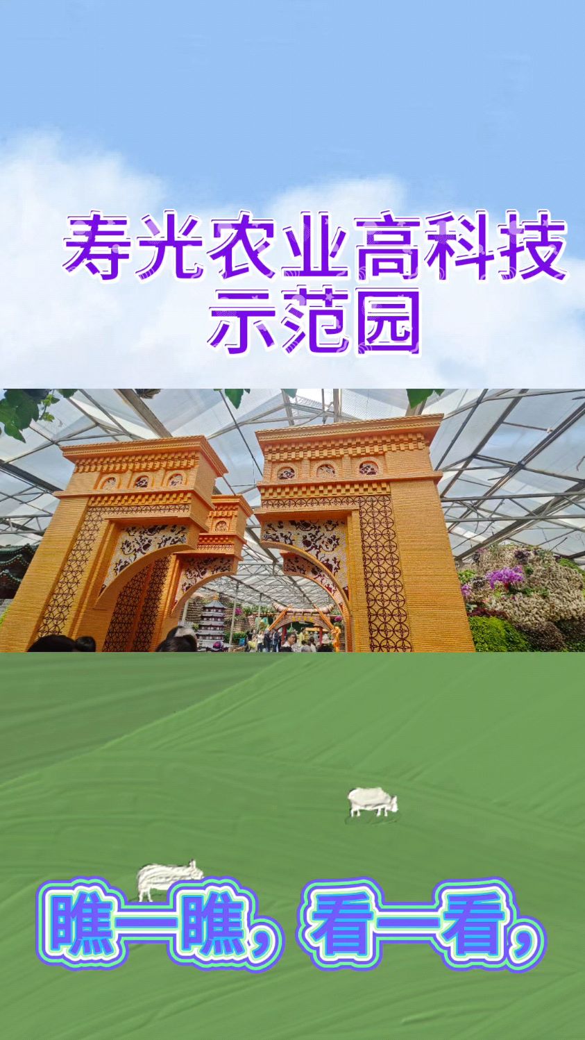 秀色可餐的高科技瓜果蔬菜