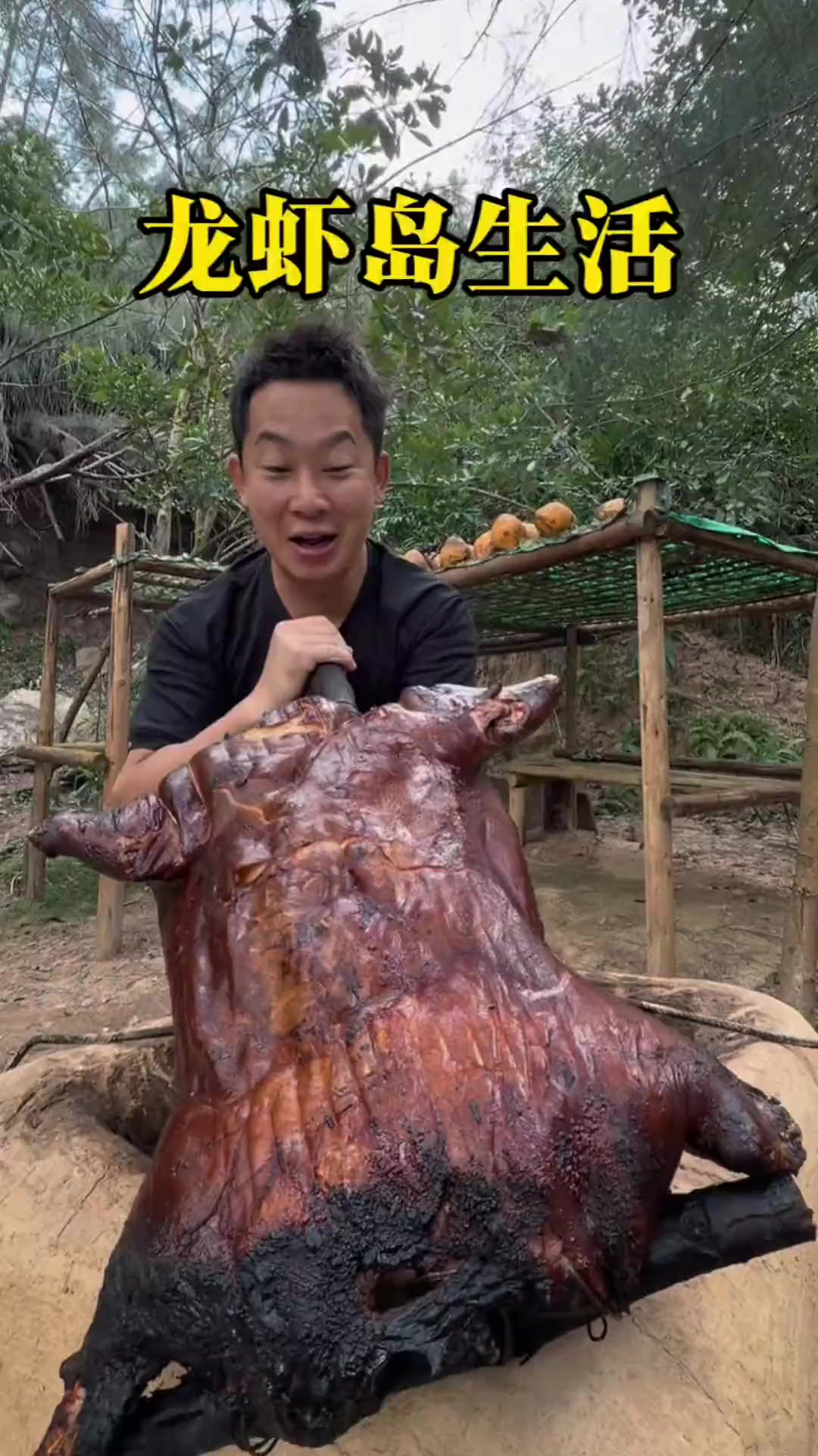 龙虾岛生活