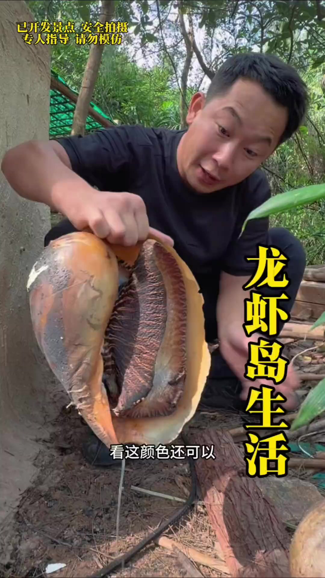 龙虾岛生存