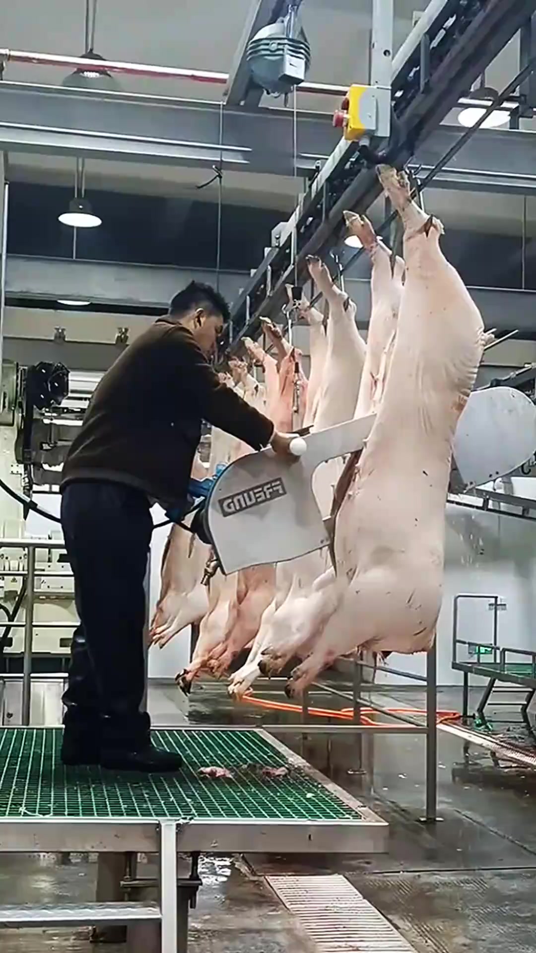 机械化屠宰场:现代技术下的猪肉分割过程揭秘!