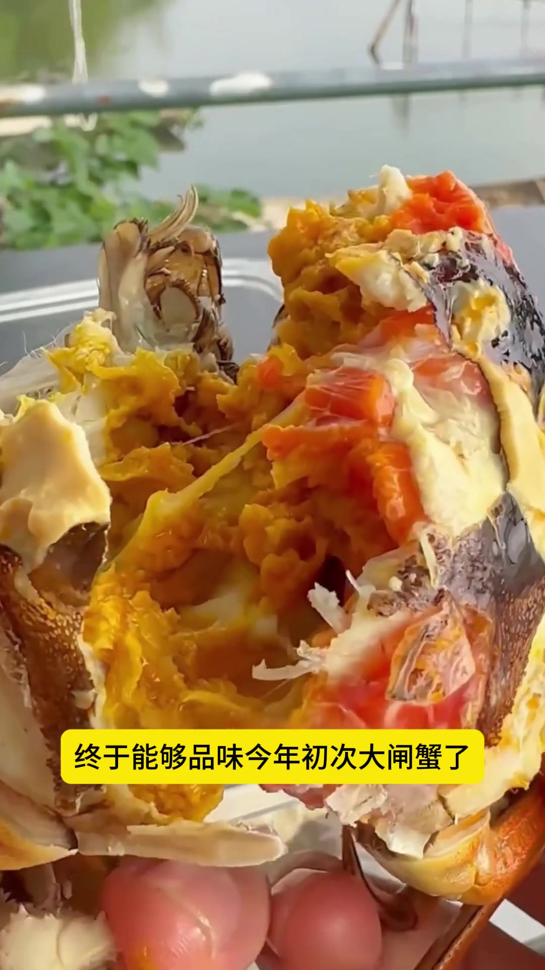 快试试!今年顶盖肥的清蒸大闸蟹,超赞