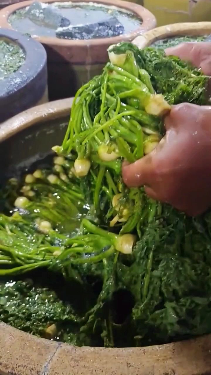东北芥菜樱子咸菜 嚼劲十 炖菜,凉拌都嘎嘎好吃#优质农产品