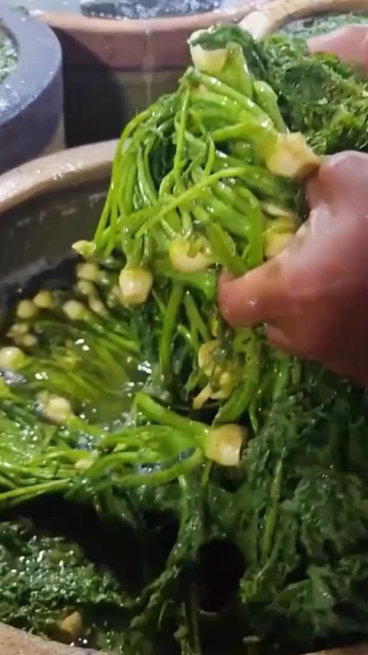 东北芥菜樱子咸菜 嚼劲十足 炖菜 炒 凉拌都嘎嘎好吃#优质农产品
