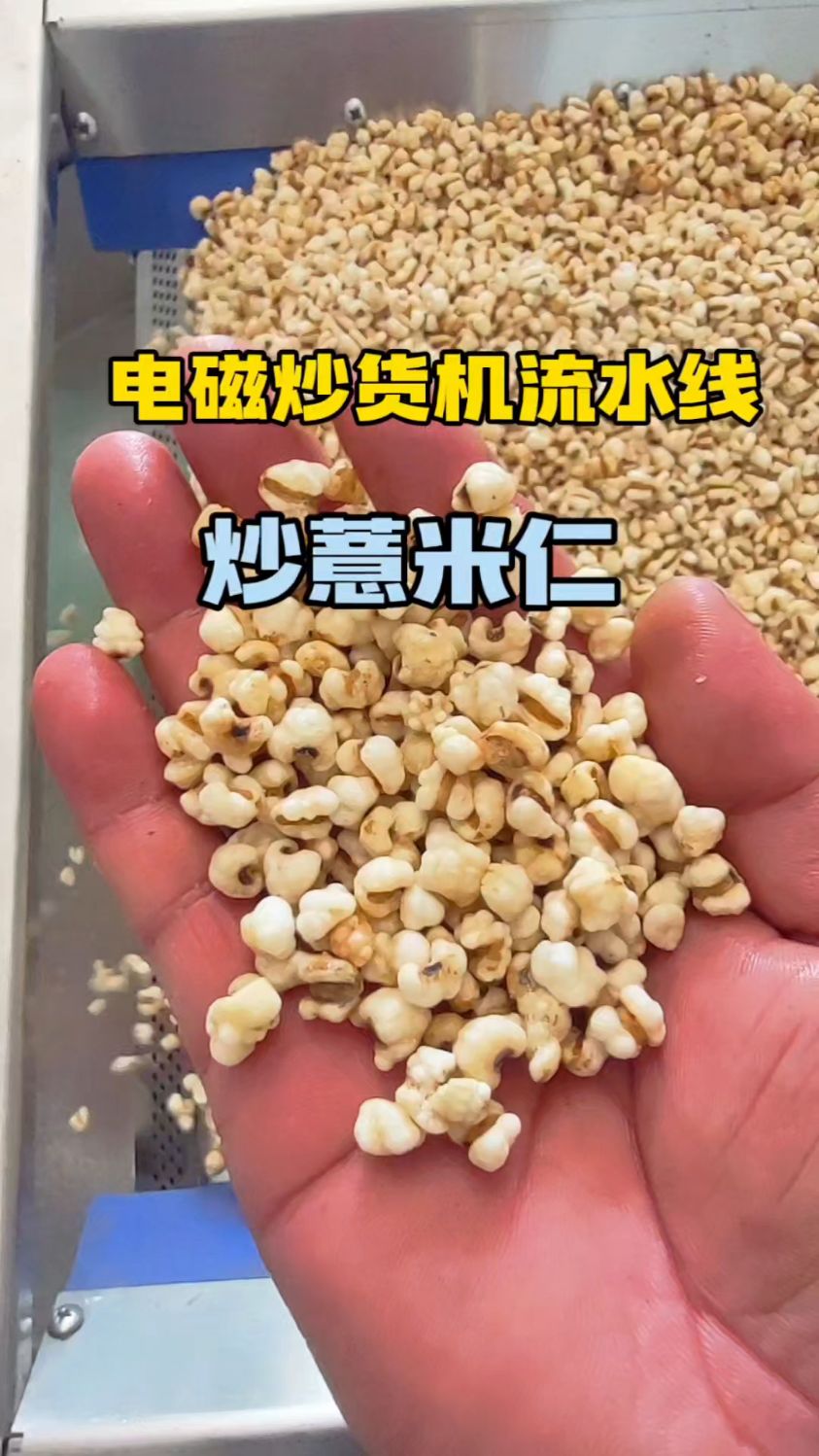 薏米想实现高效规模化生产,炒货机流水线少不了!