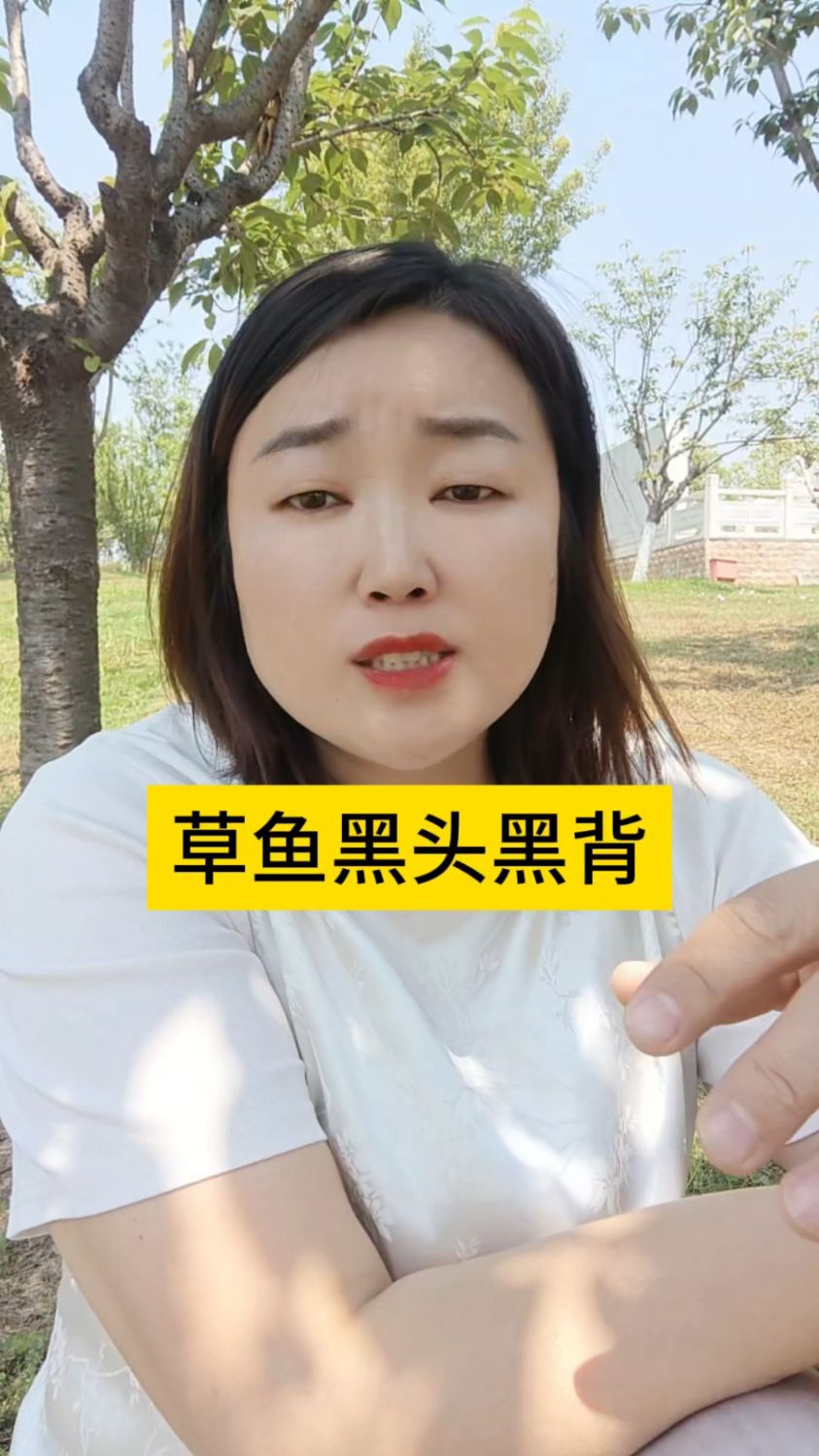 草鱼黑头黑背是什么原因