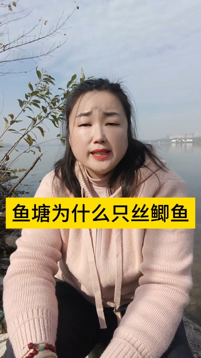 鱼塘为什么只死鲫鱼