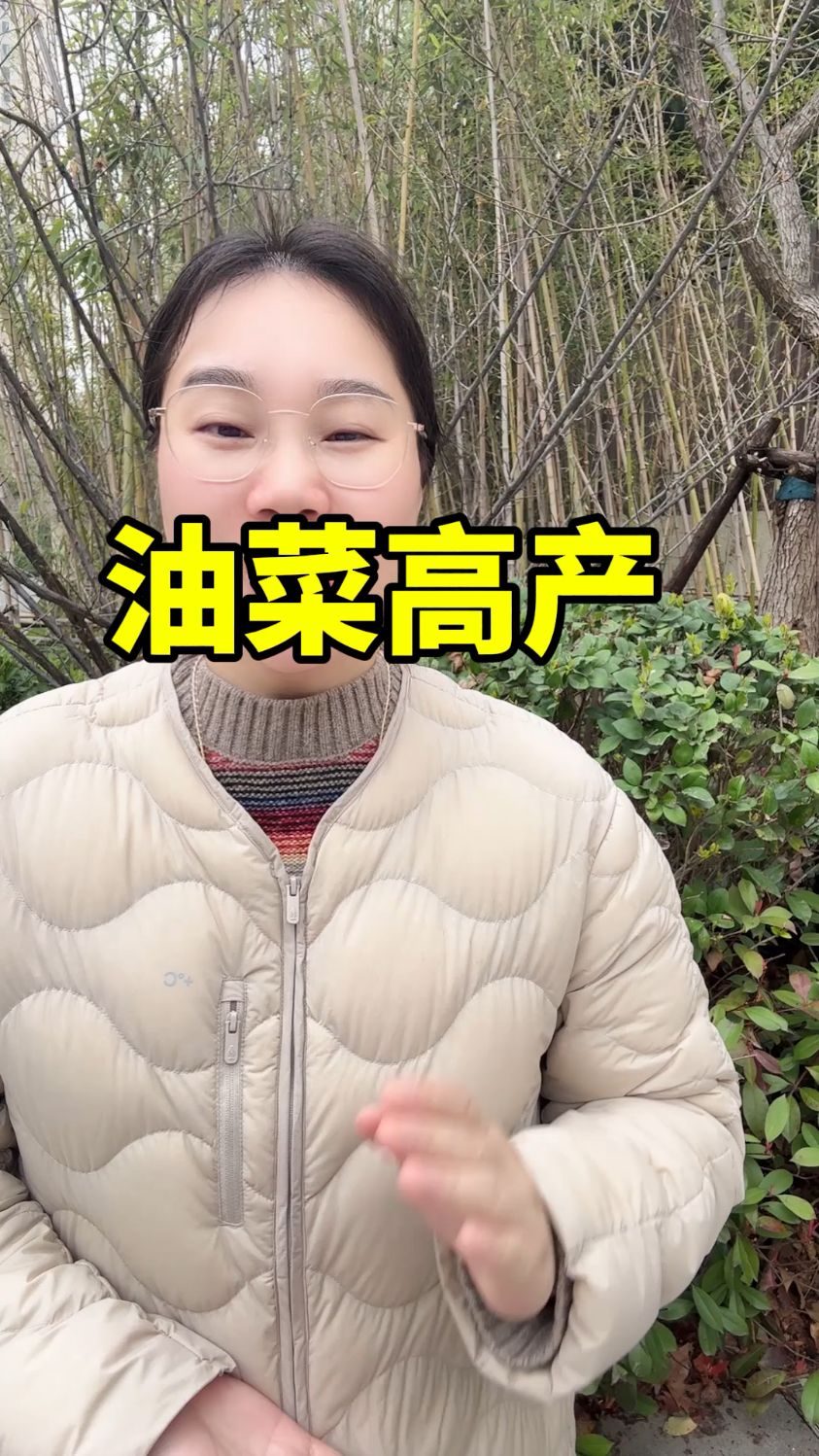 油菜病虫害如何防治,油菜菌核病特效药,油菜菌核病管理措施