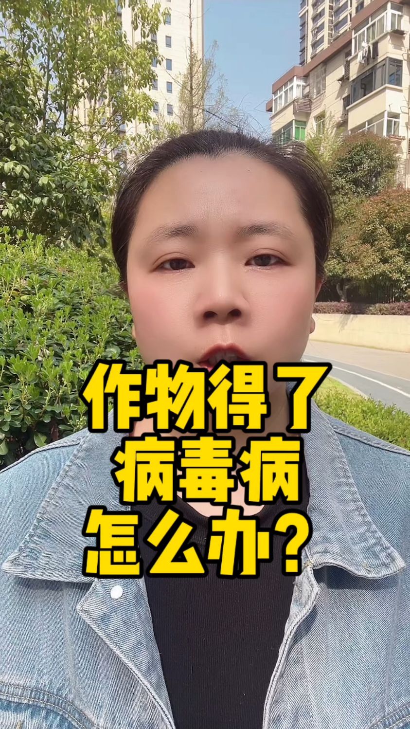 农作物病毒病打什么药,病毒病怎么防治