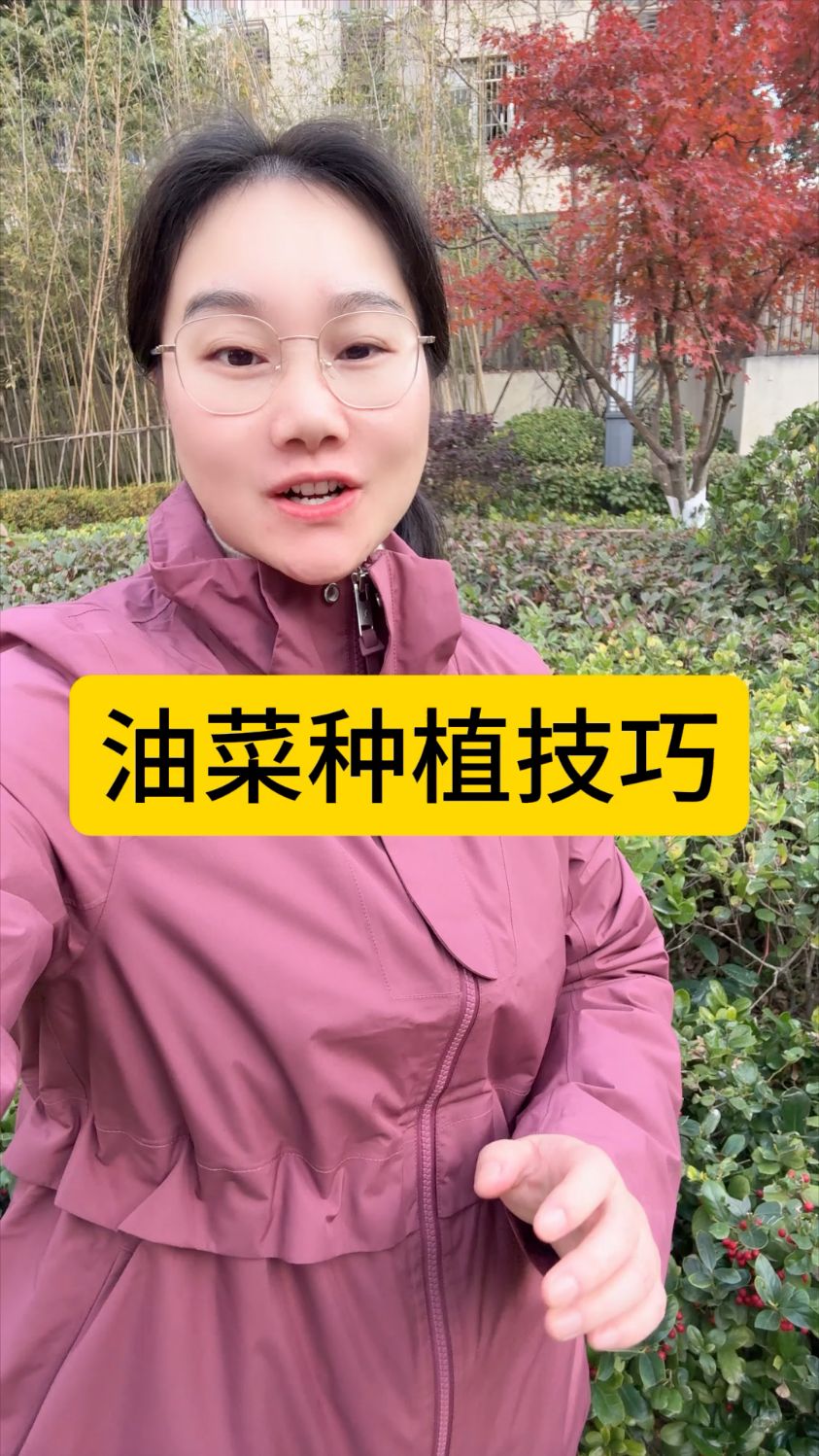 油菜病虫害如何防治