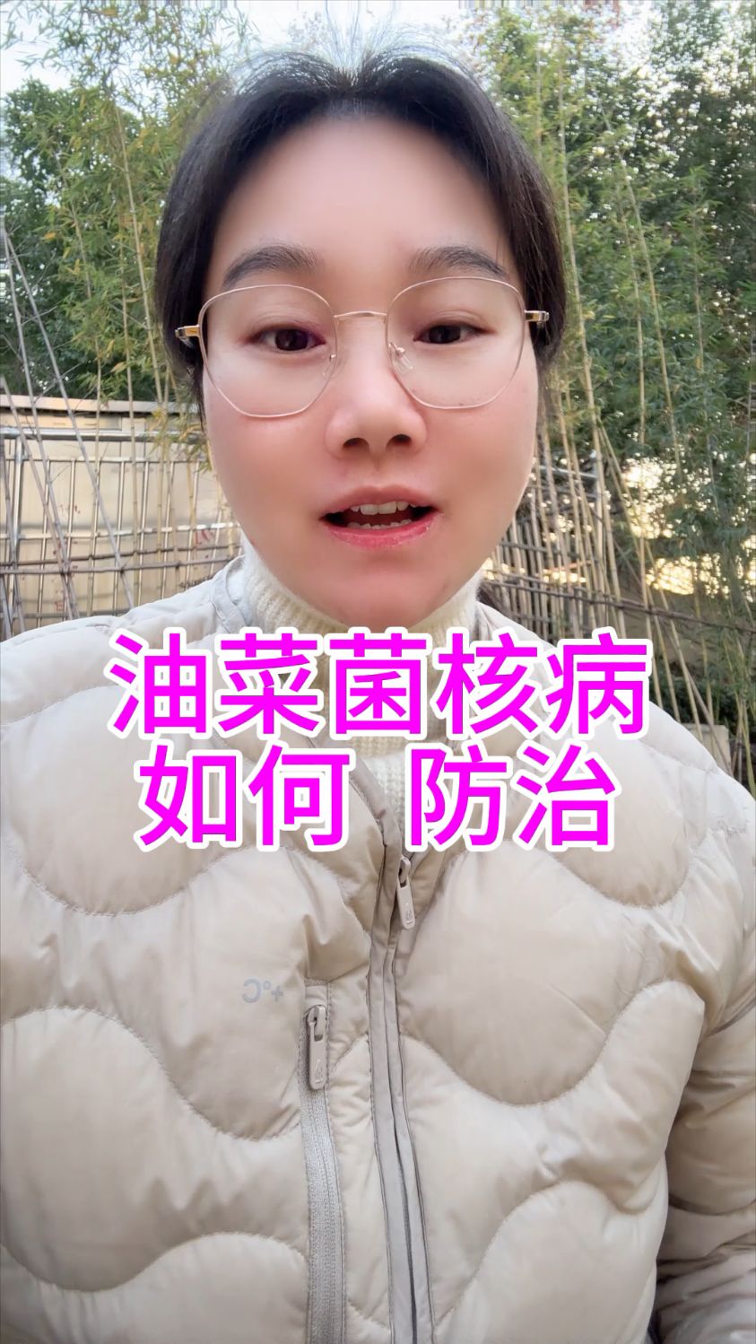 油菜菌核病如何防治
