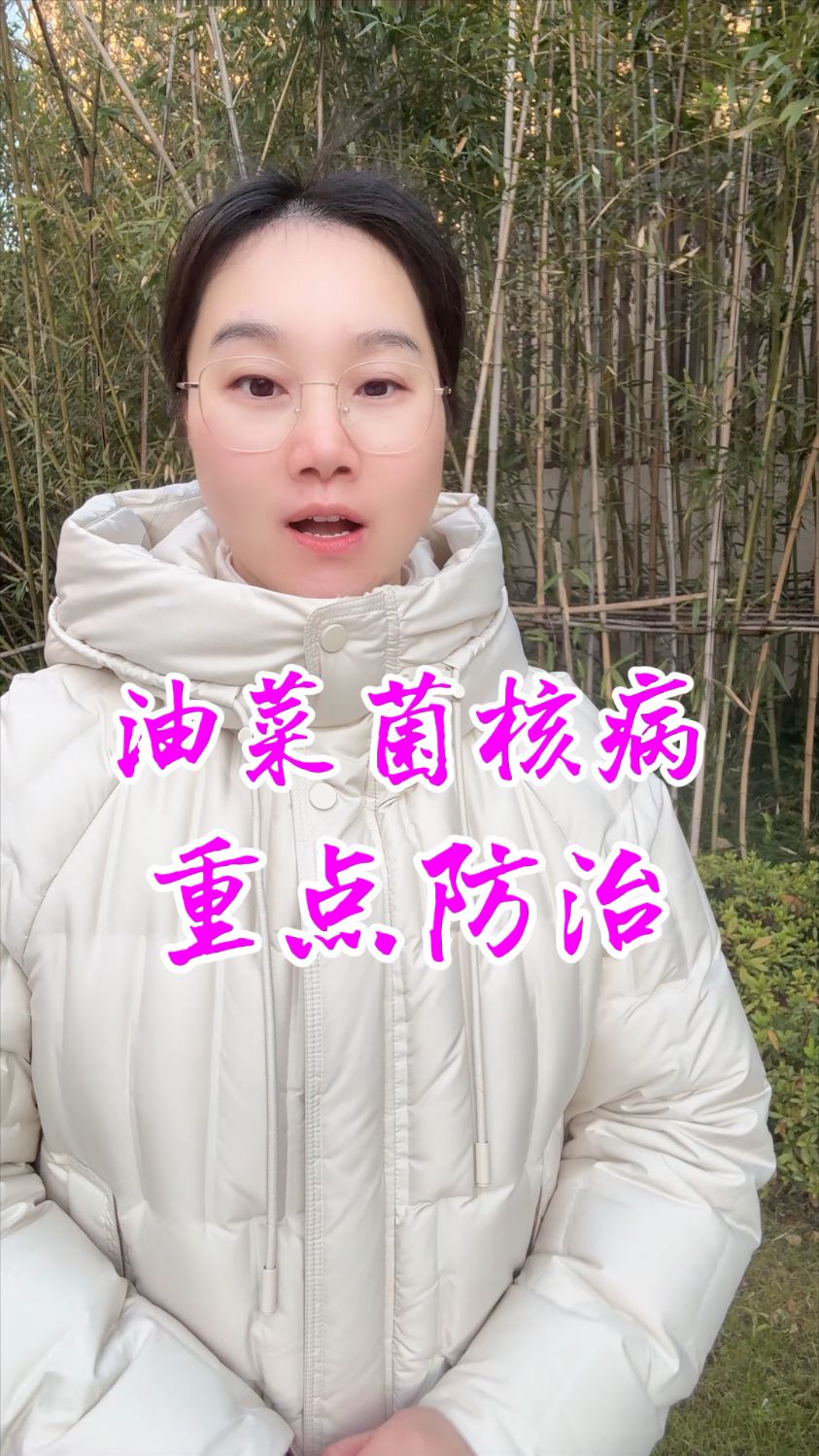 油菜菌核病怎么防治