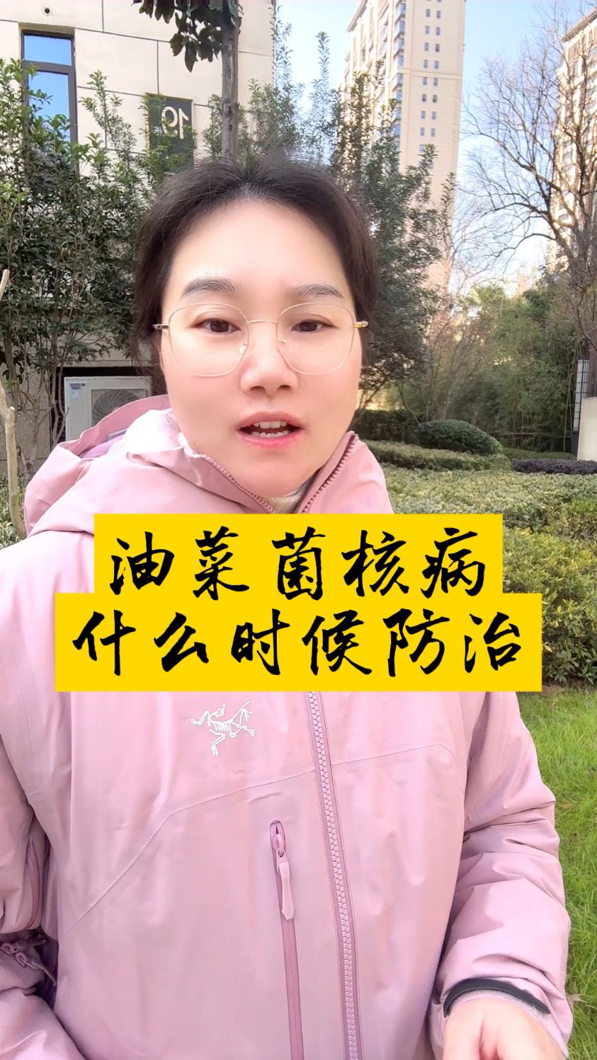 油菜菌核病什么时候打药