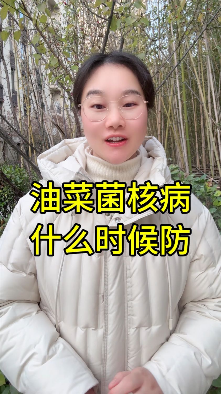 油菜菌核病什么时候防治